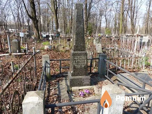 Адольф Виктор Эдуардович