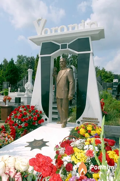 Воронин Михаил Львович