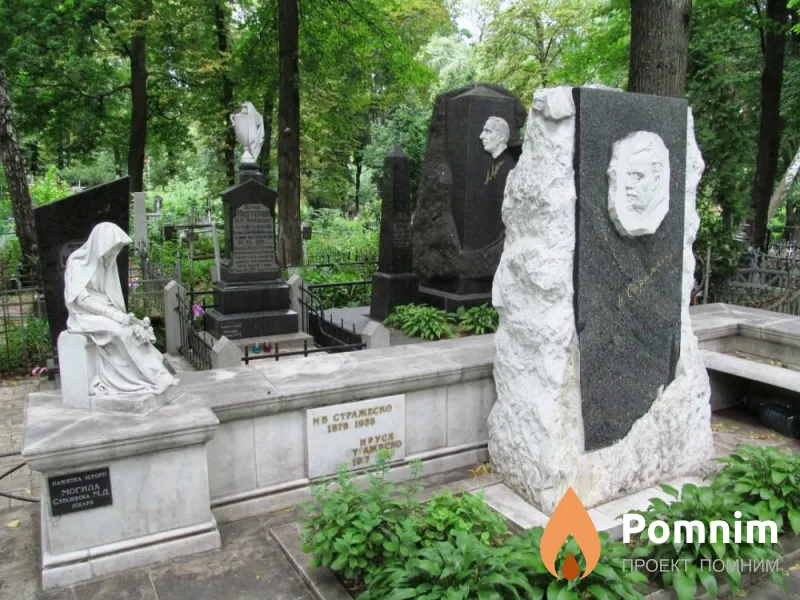 Стражеско Николай Дмитриевич