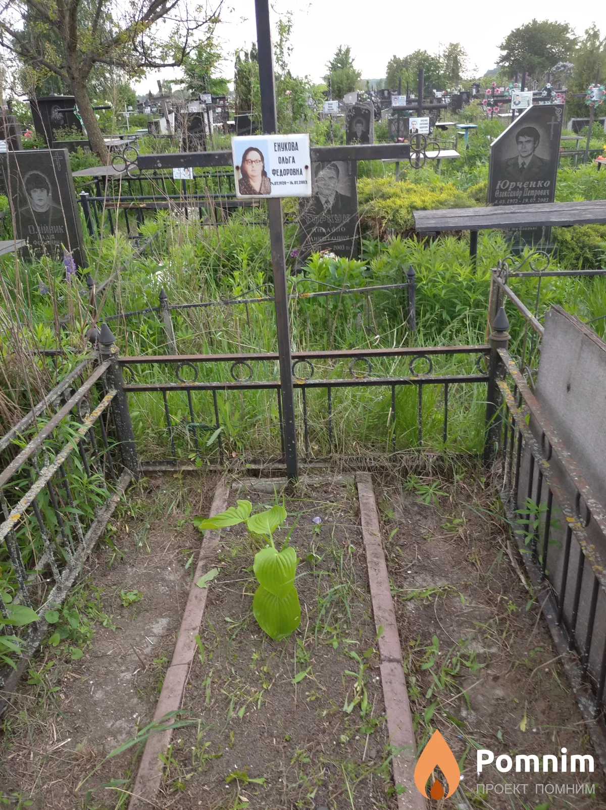 Енукова Ольга Федоровна