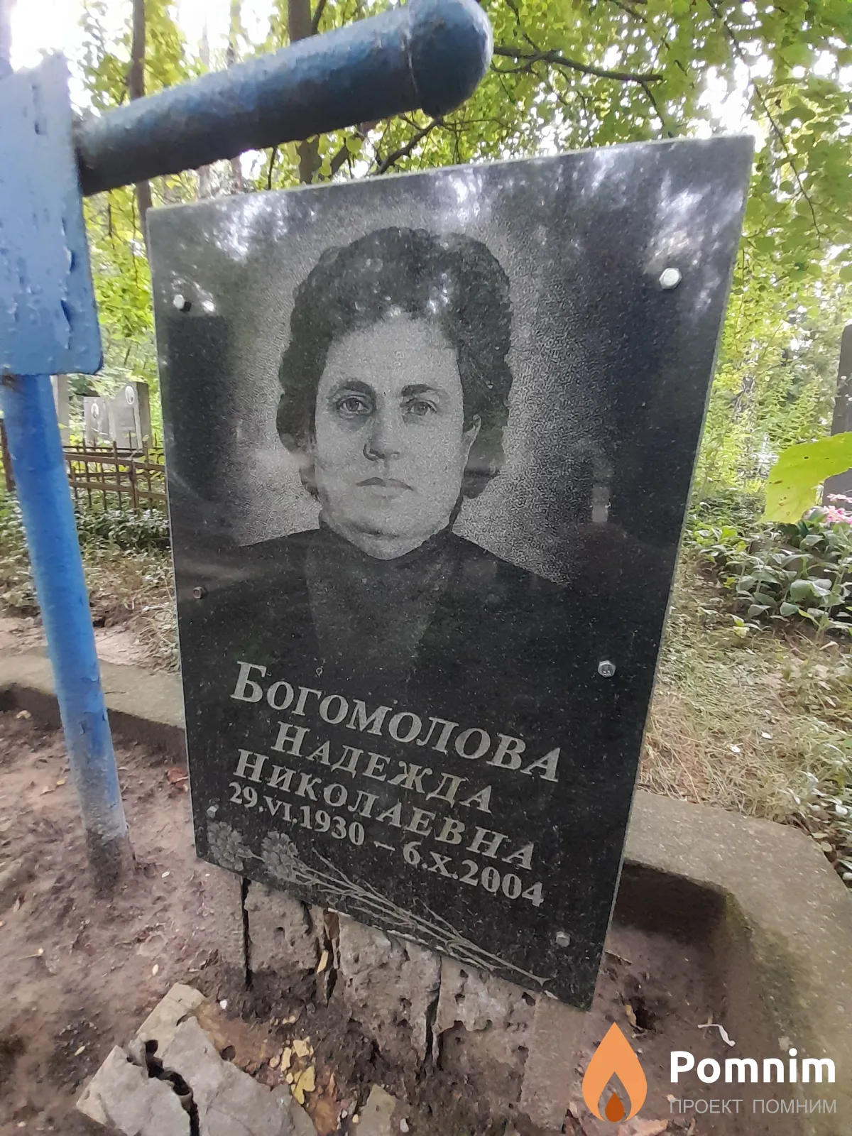 Богомолова Надежда Николаевна