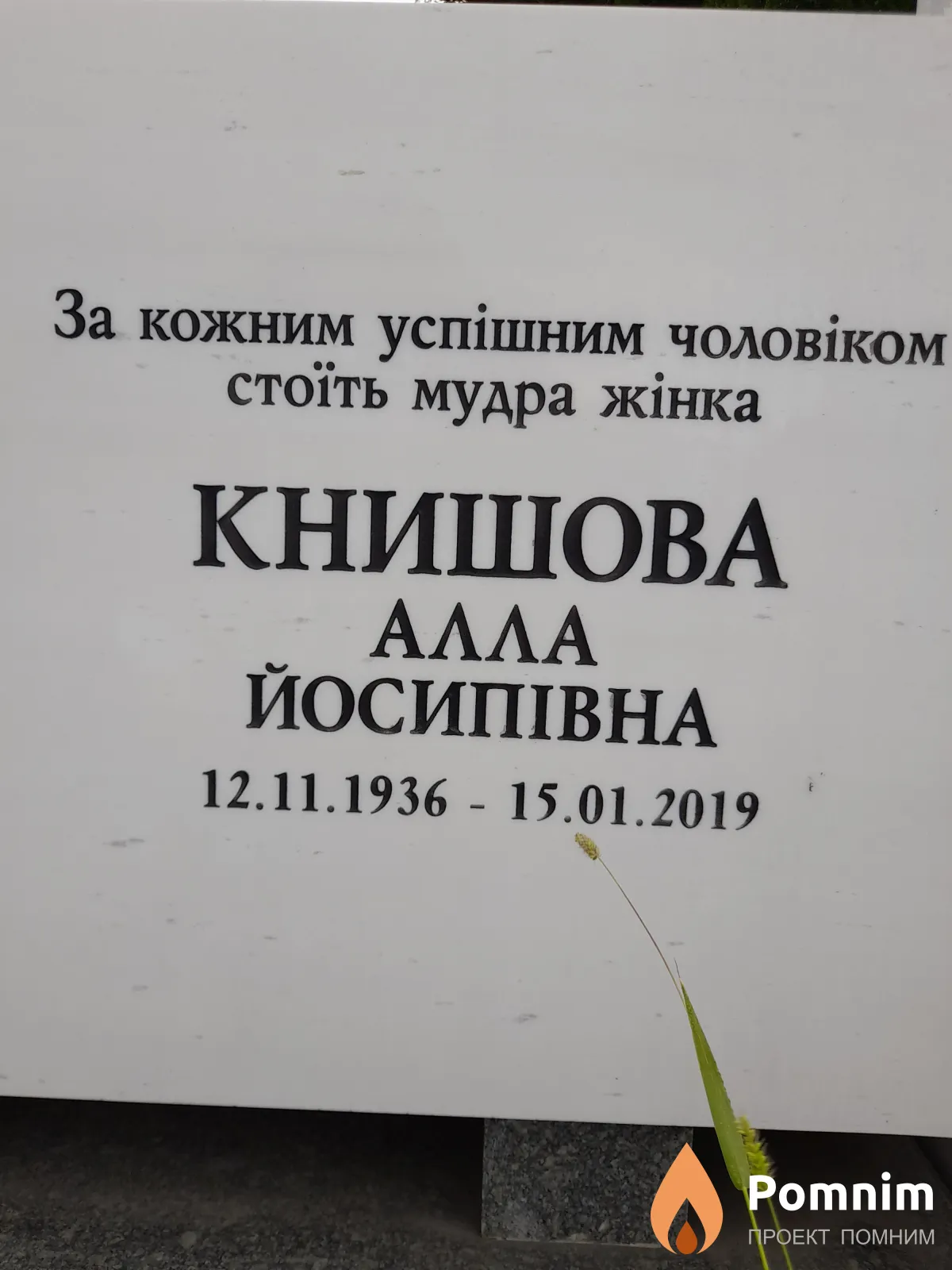 Книшова Алла Йосипивна