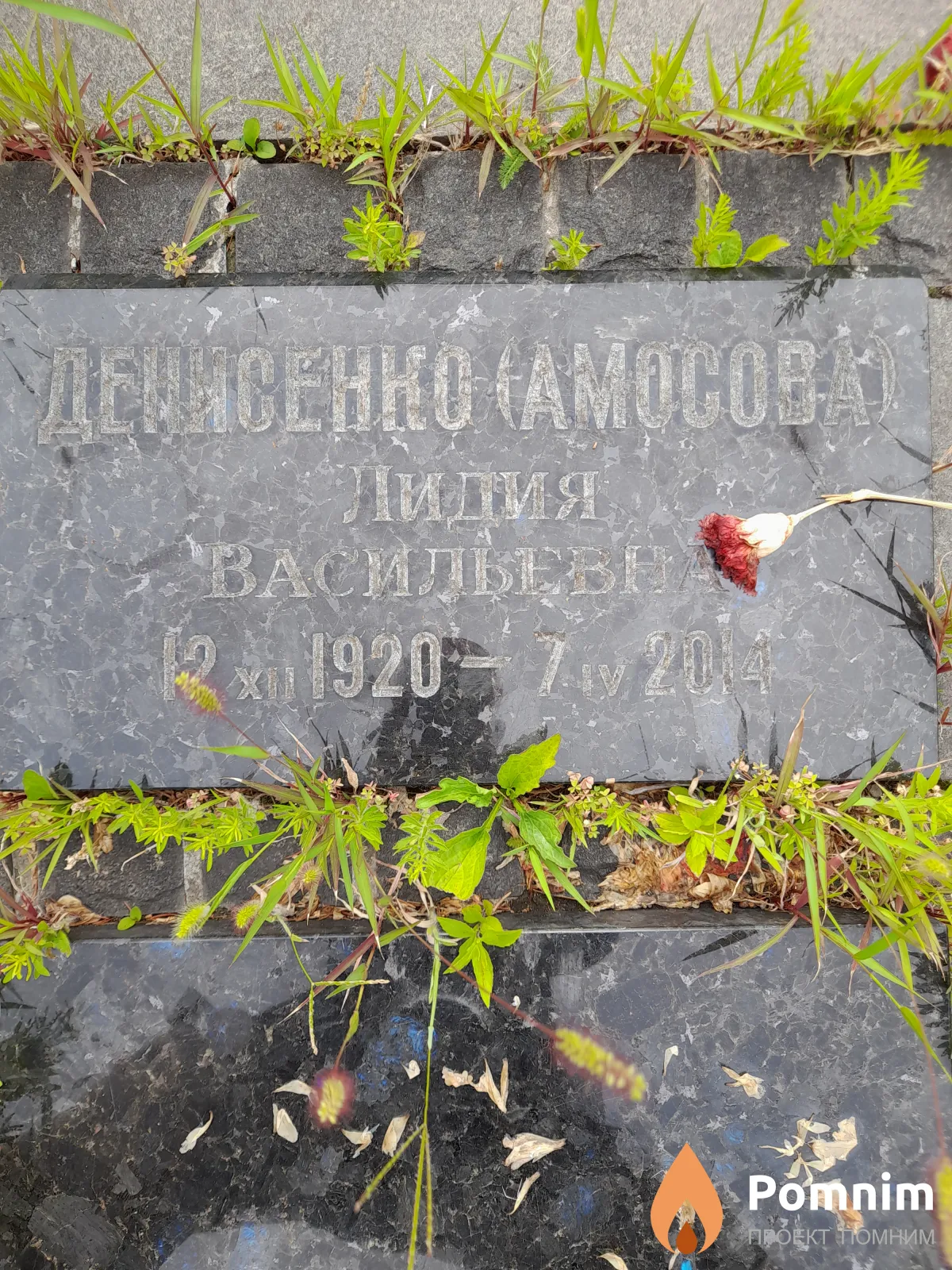 Денисенко-Амосова Лидия Васильевна