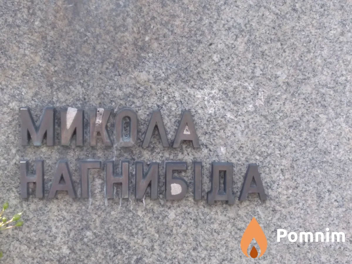 Нагнибіда Микола Львович