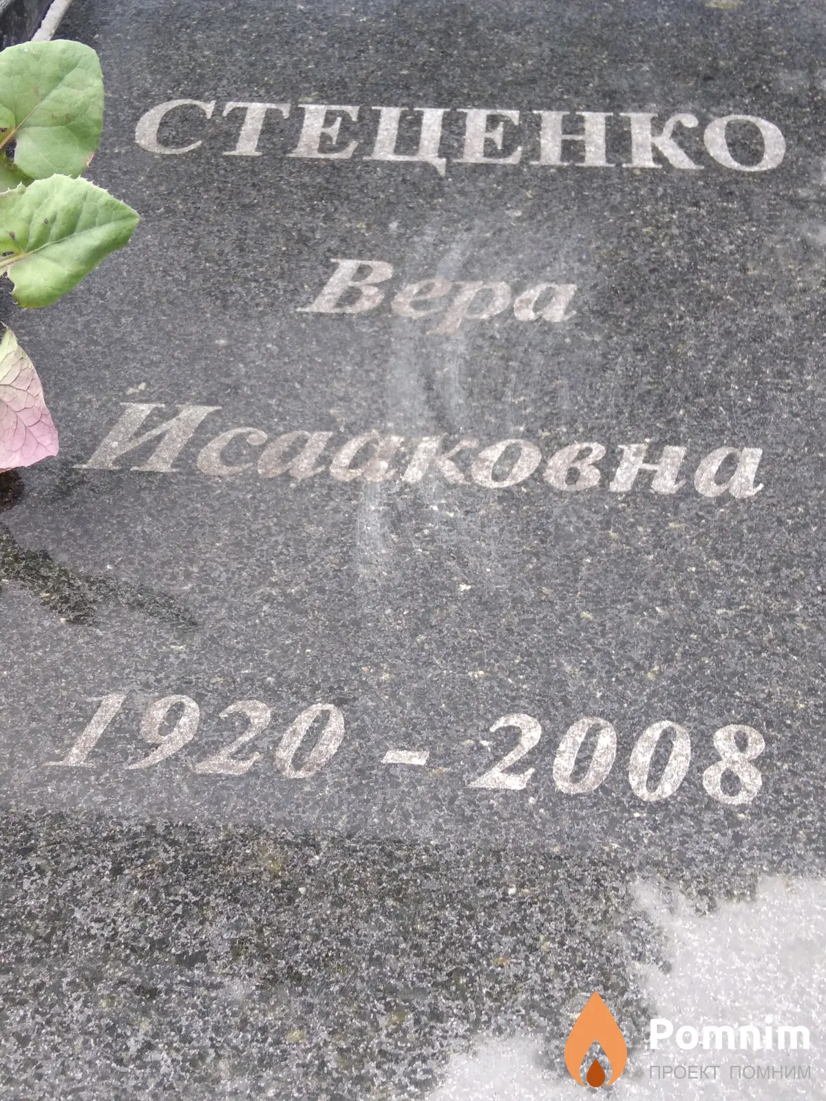 Стеценко Вера Исаковна