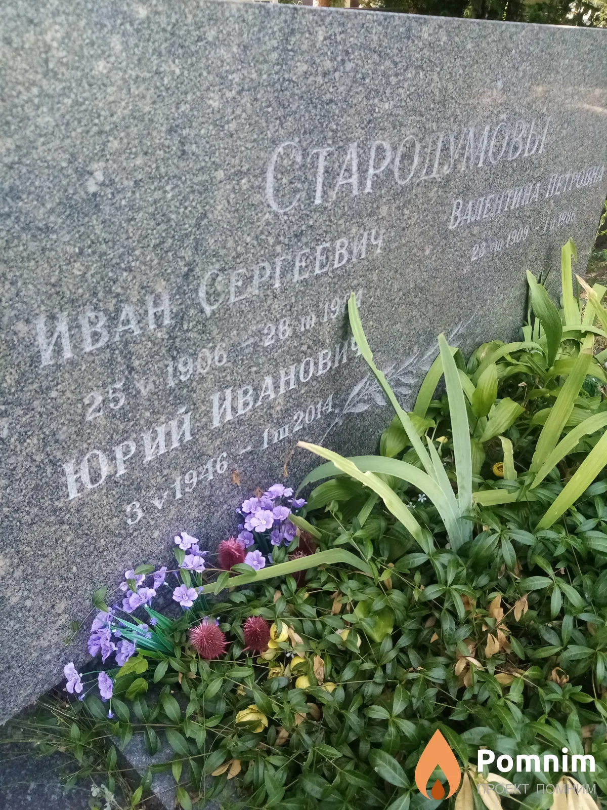 Стародумовы Иван Сергеевич