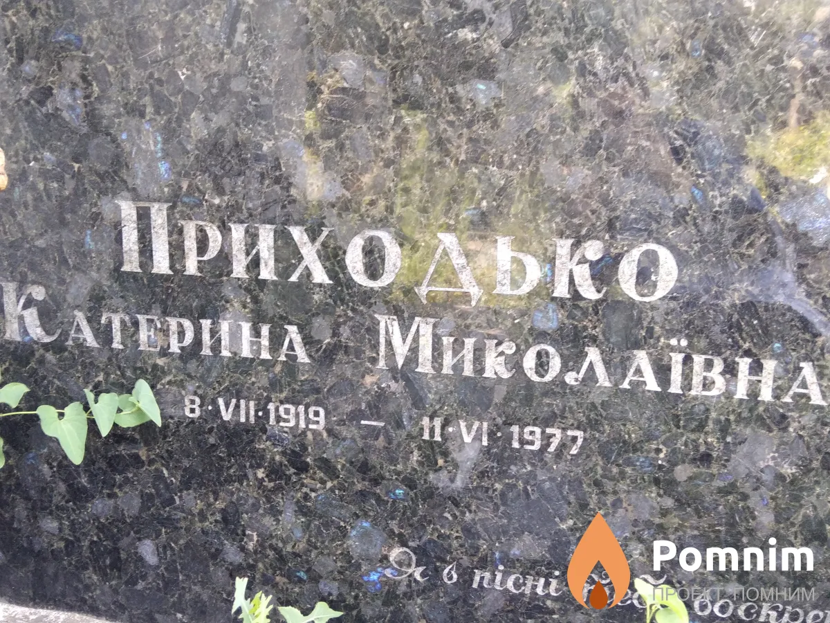 Приходько Катерина Миколаївна
