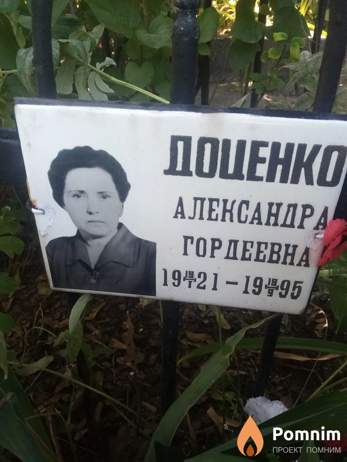 Доценко Александра Гордеевна