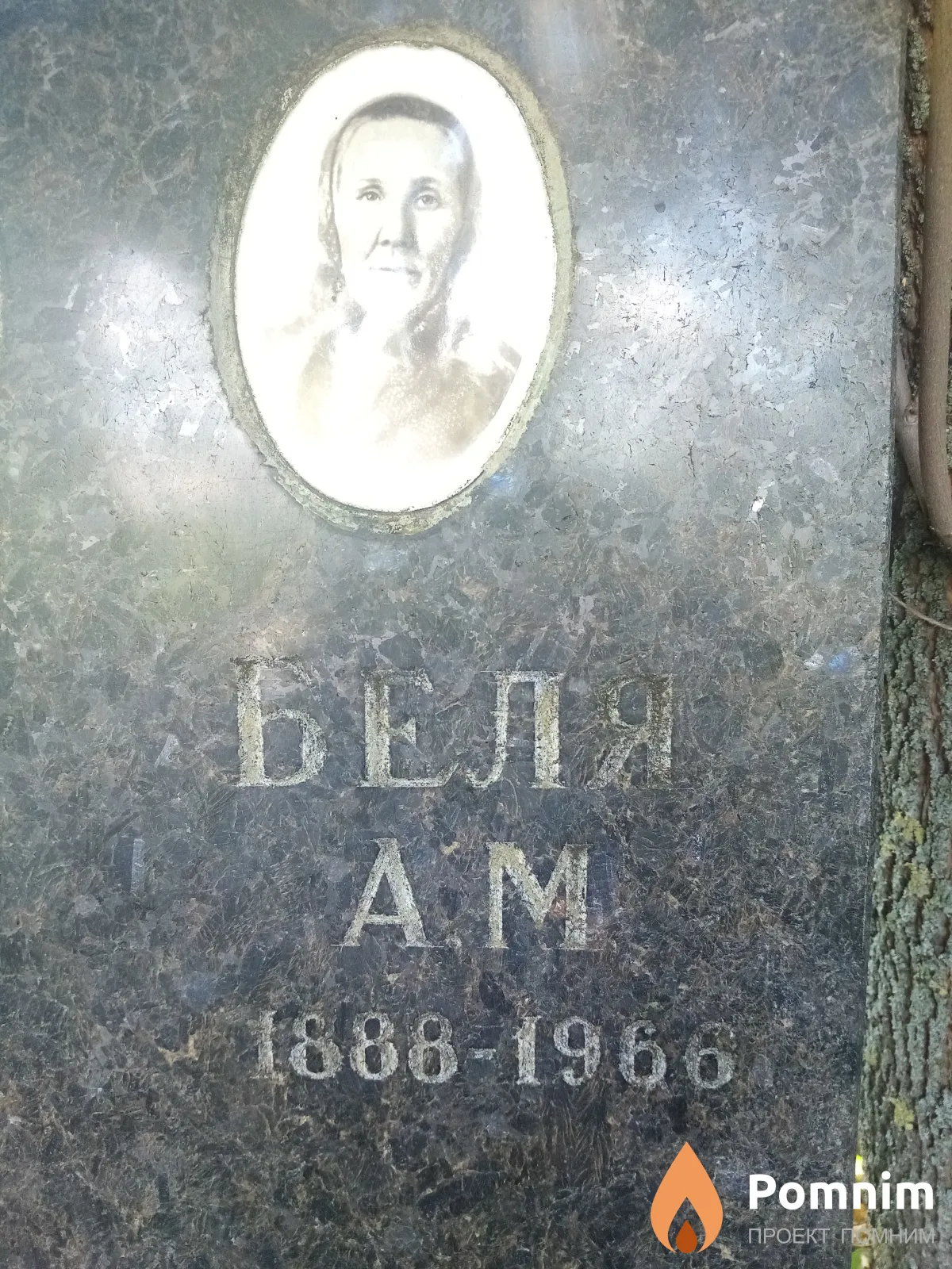 Беля А М