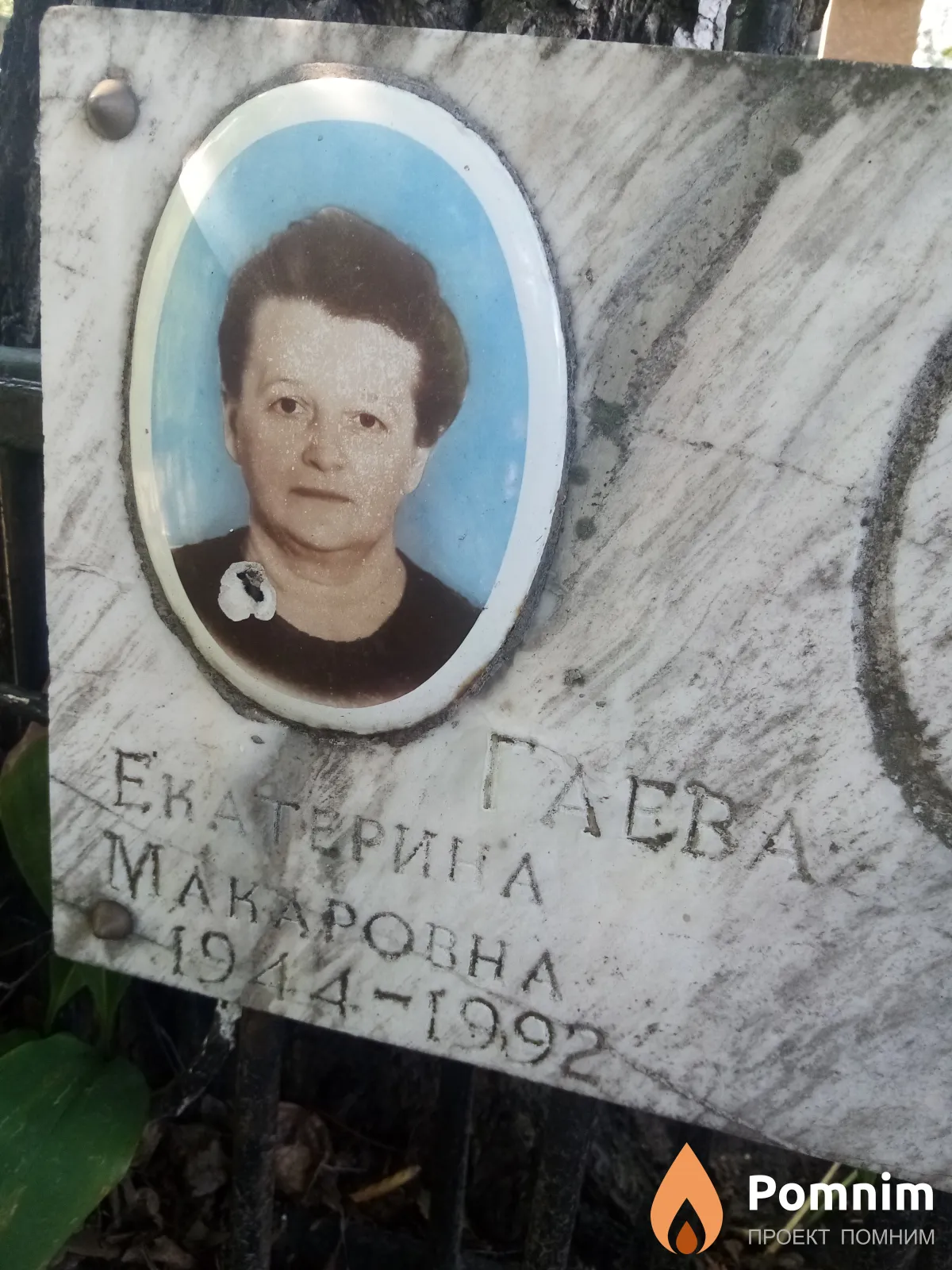 Гаева Екатерина Макаровна