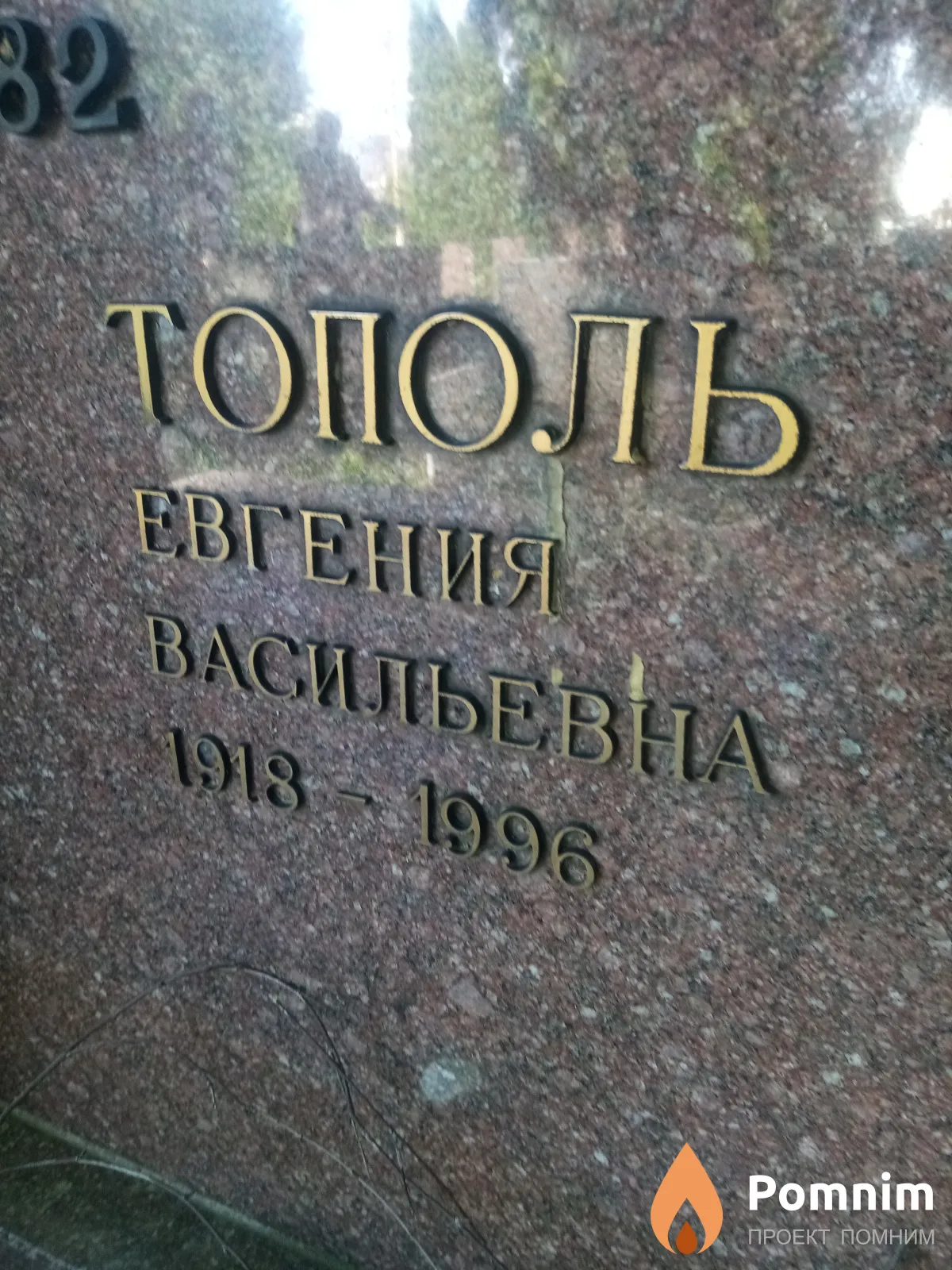 Тополь Евгения Васильевна