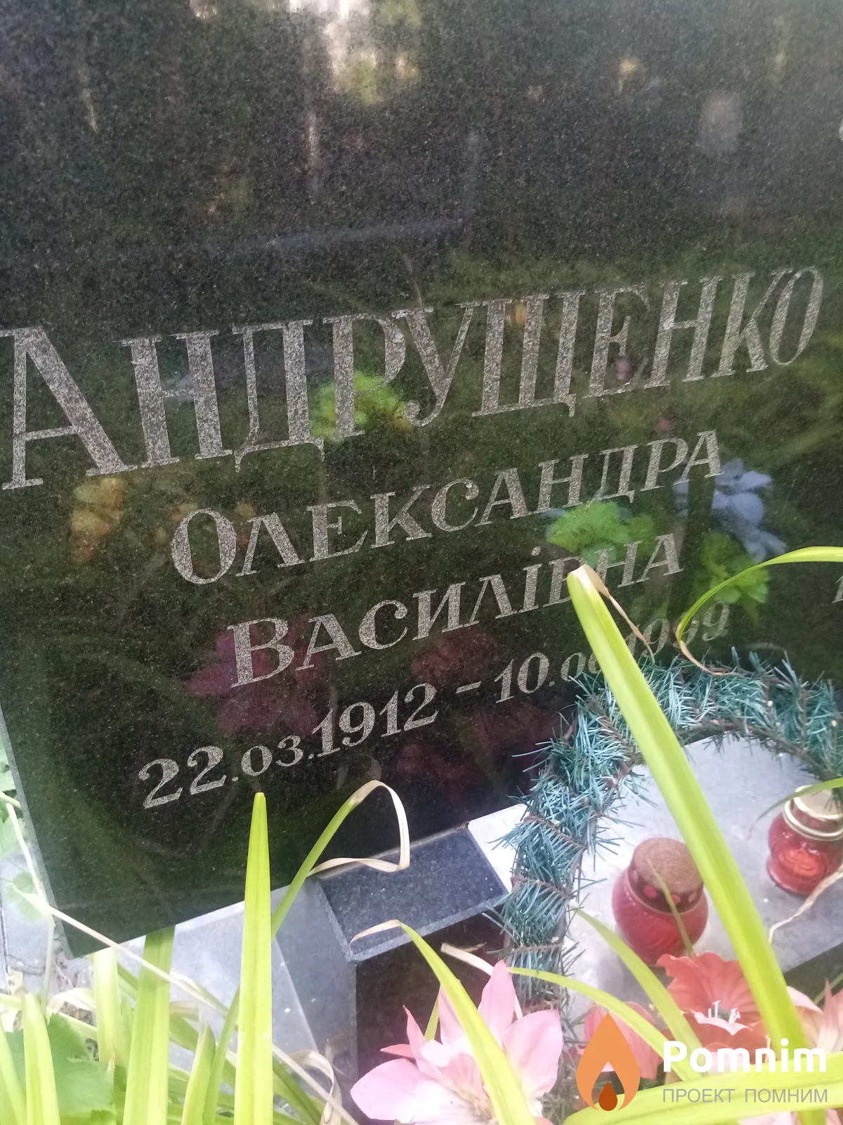 Андрущенко Олександра Василівна