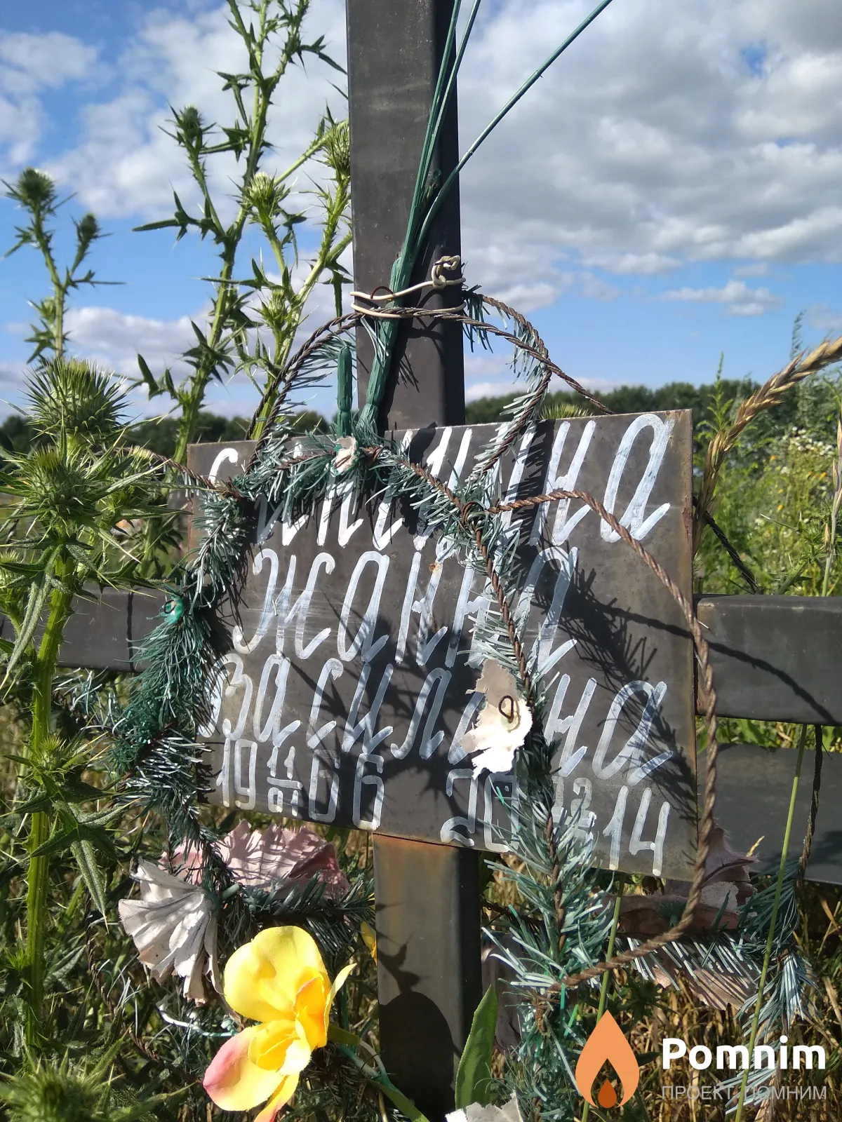 Синіцина Жанна Василівна