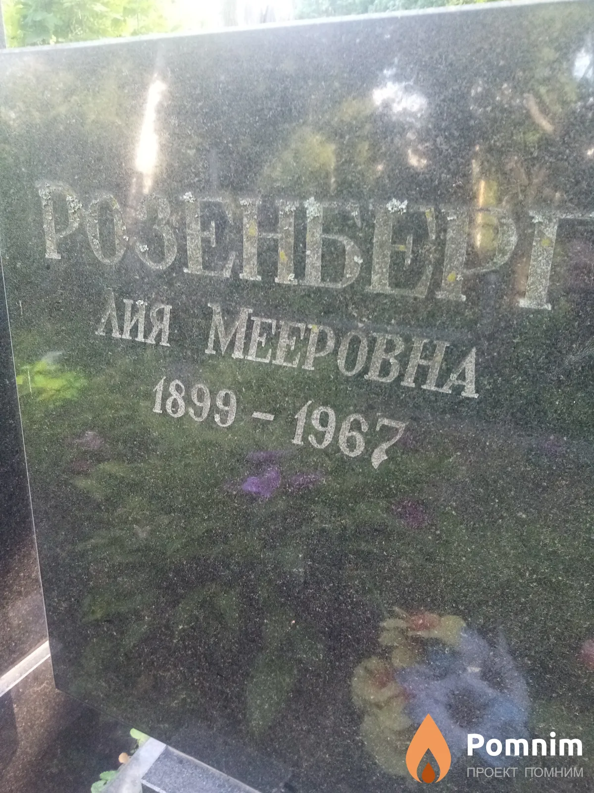 Розенберг Лия Мееровна
