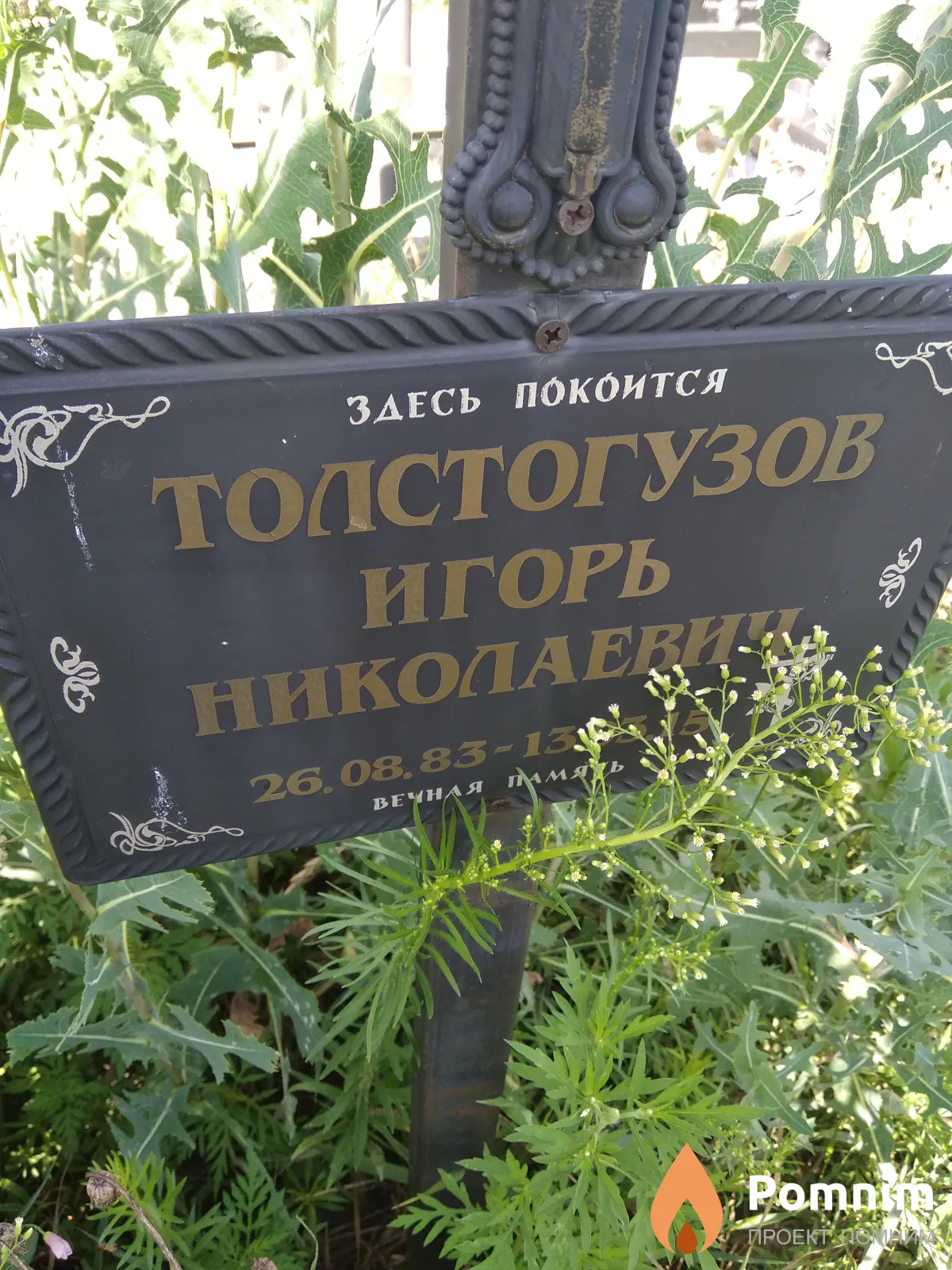 Толстогузов Игорь Николаевич