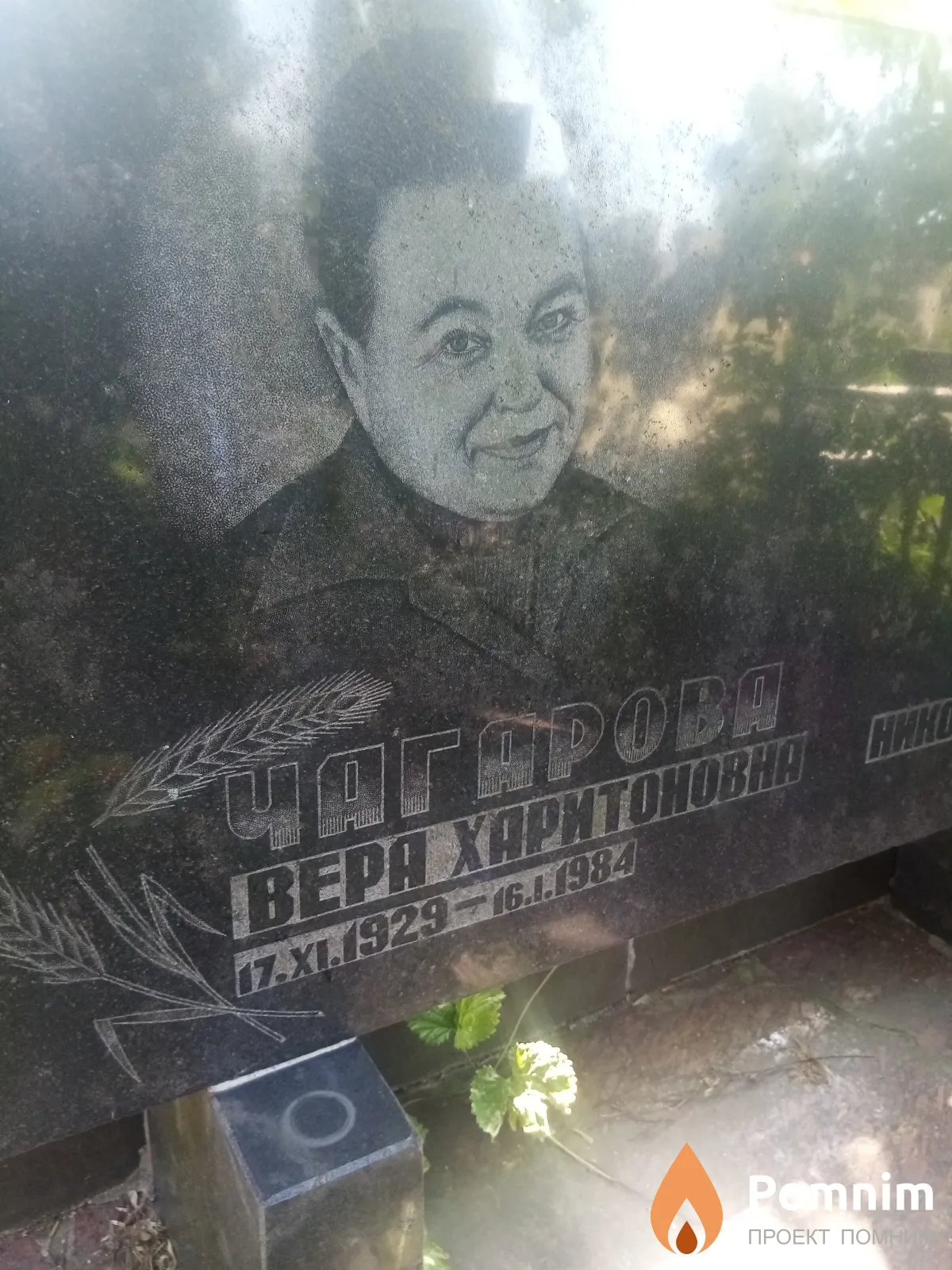 Чагарова Bepa Харитоновна