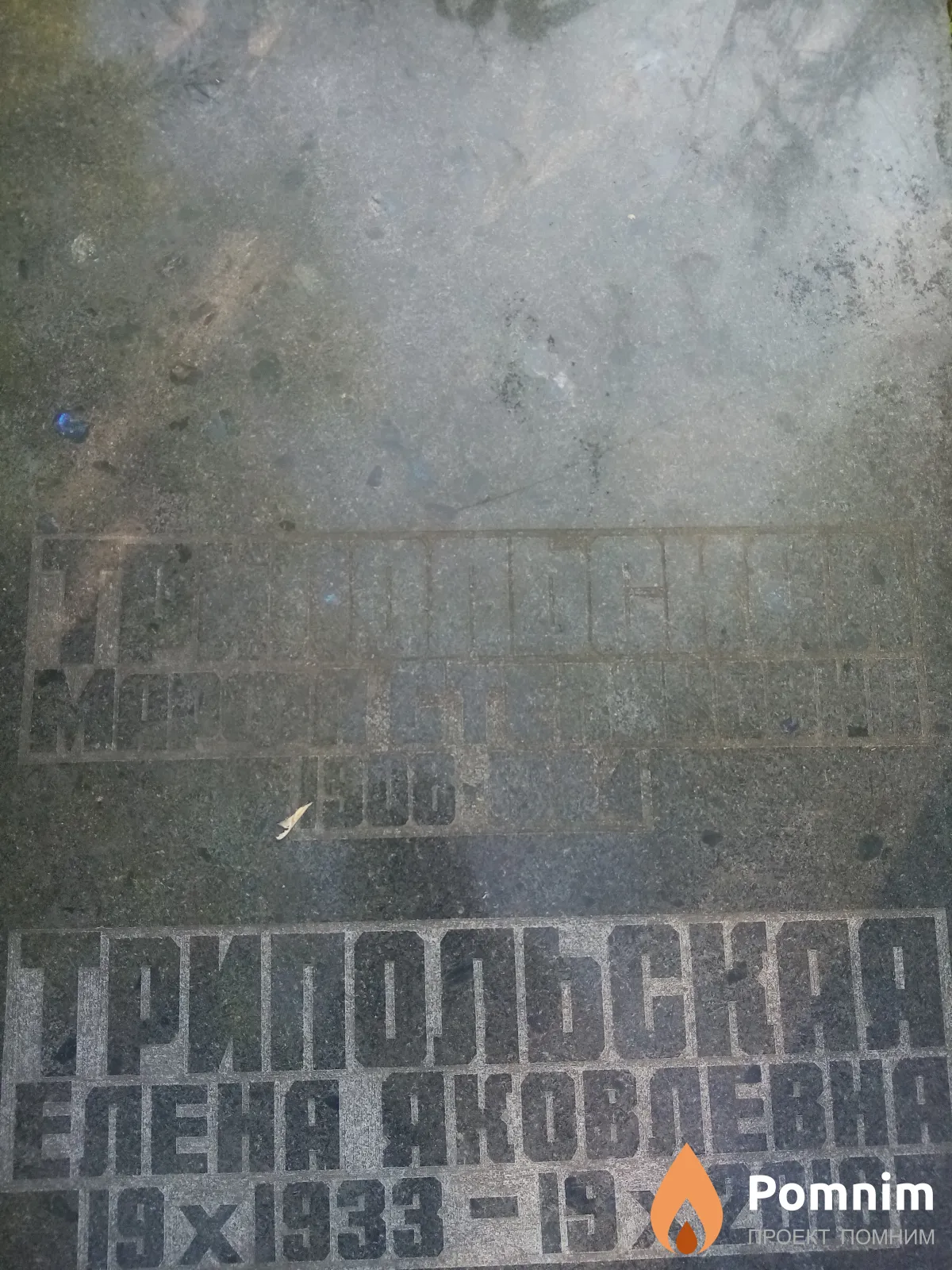 Трипольская Марфа Степановна