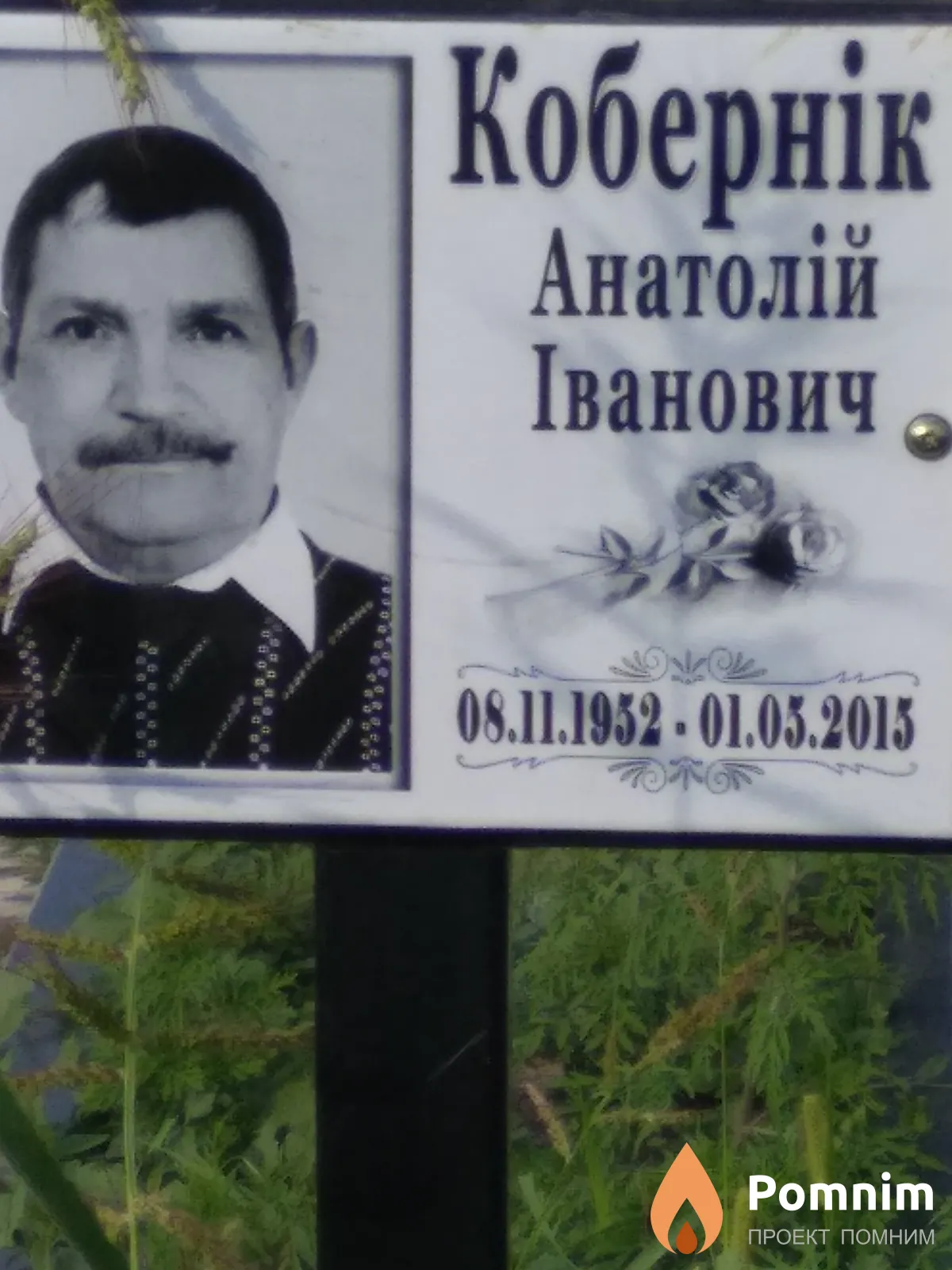 Кобернік Анатолій Іванович