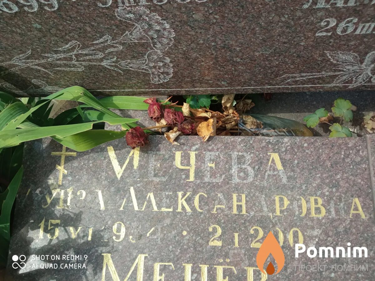 Мечева Луиза Александровна