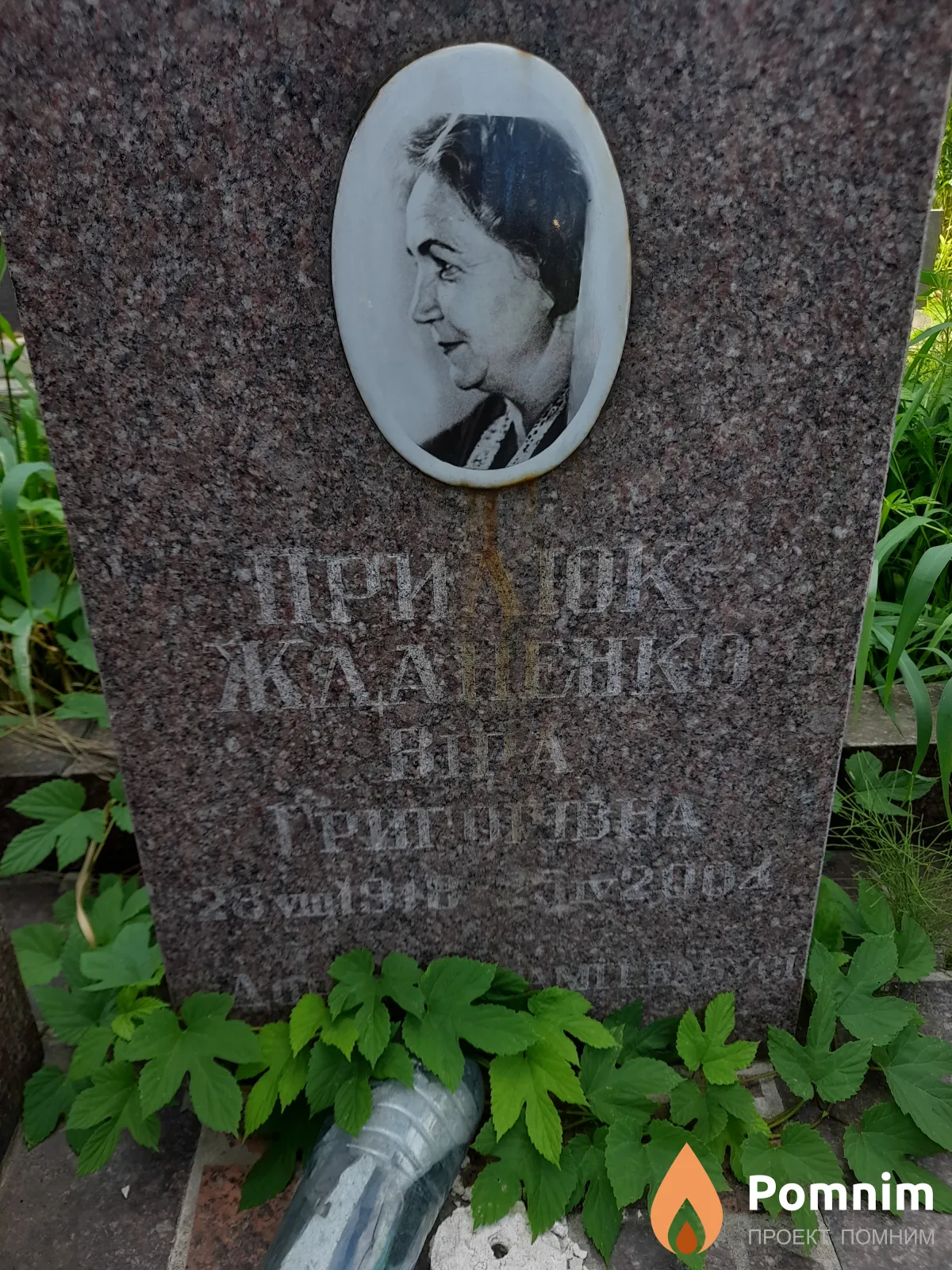 Прилюк-Жданенко Вира Григоривна