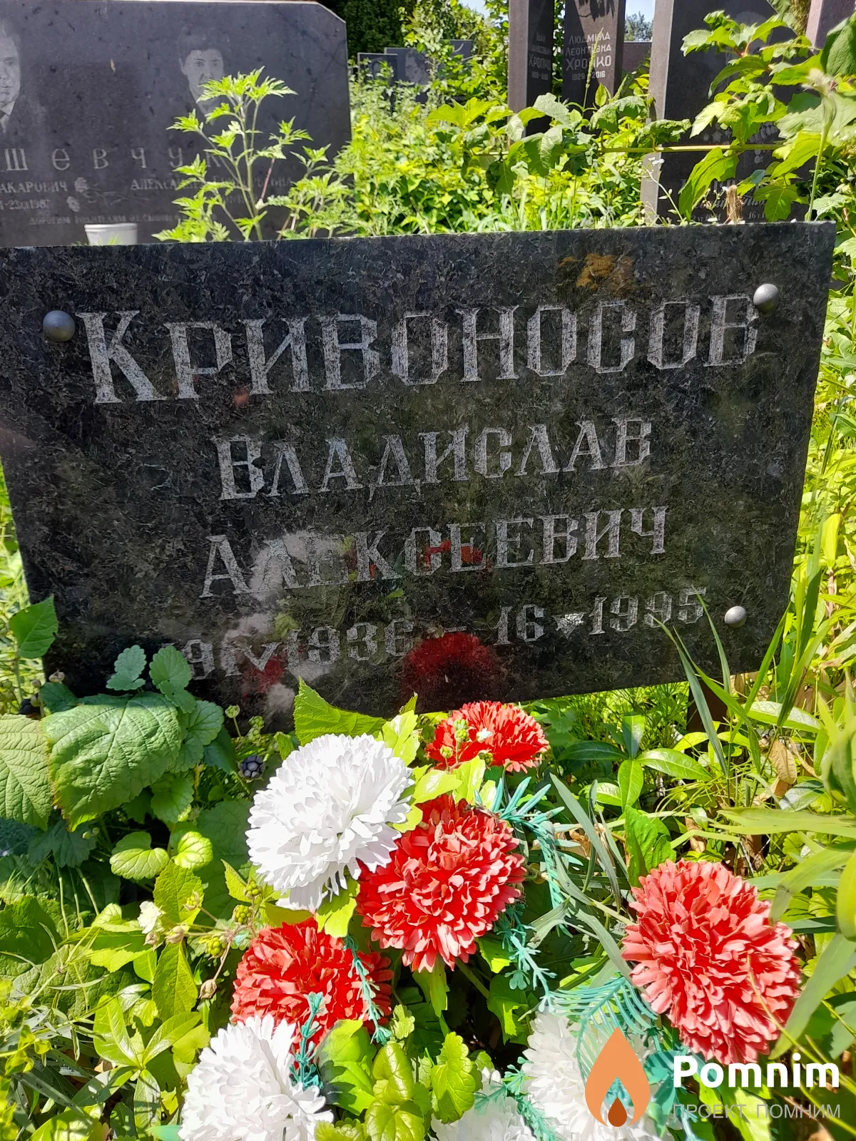 Криваносов Владислав Алексеевич