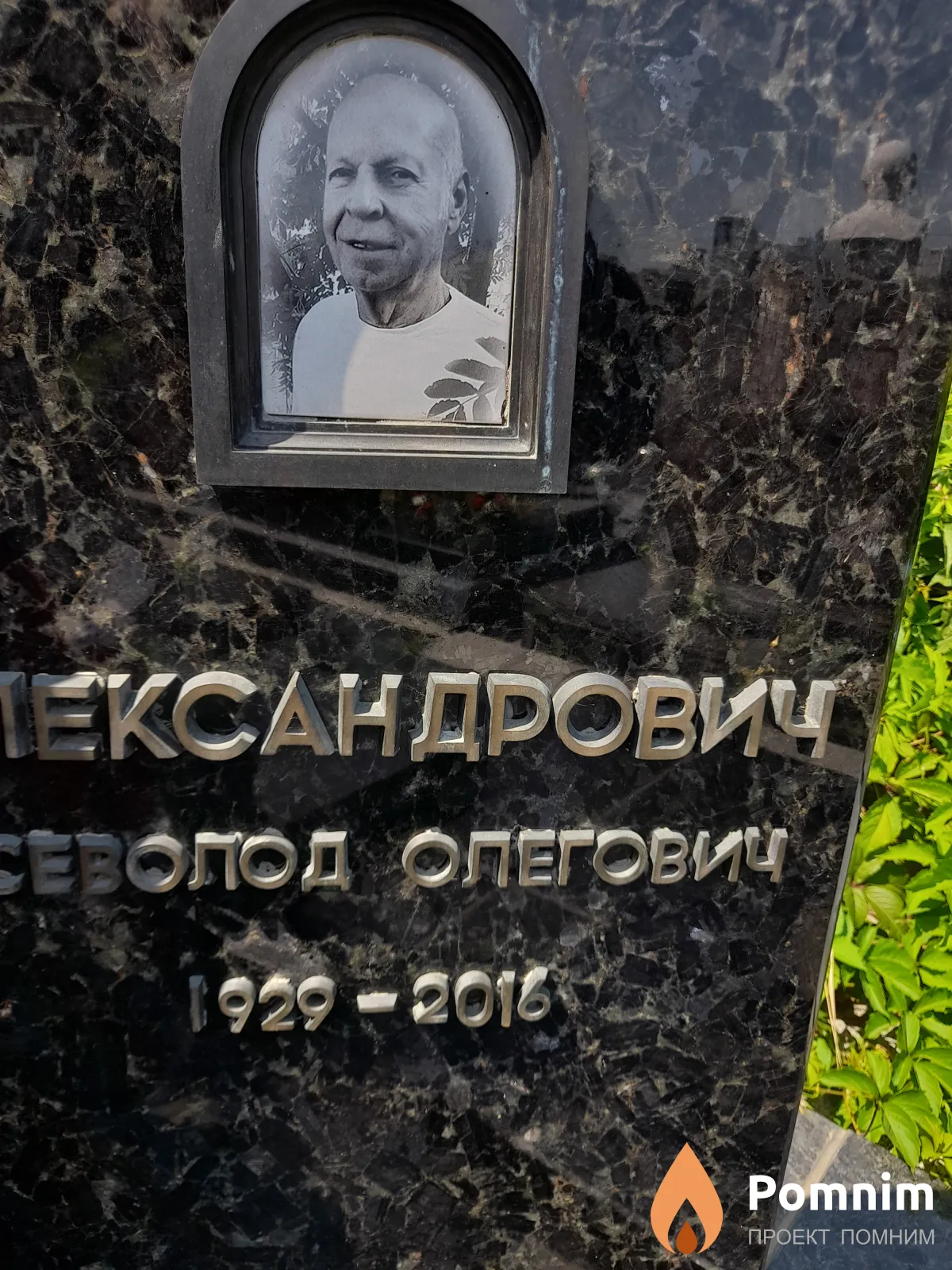 Александрович Всеволод Олегович