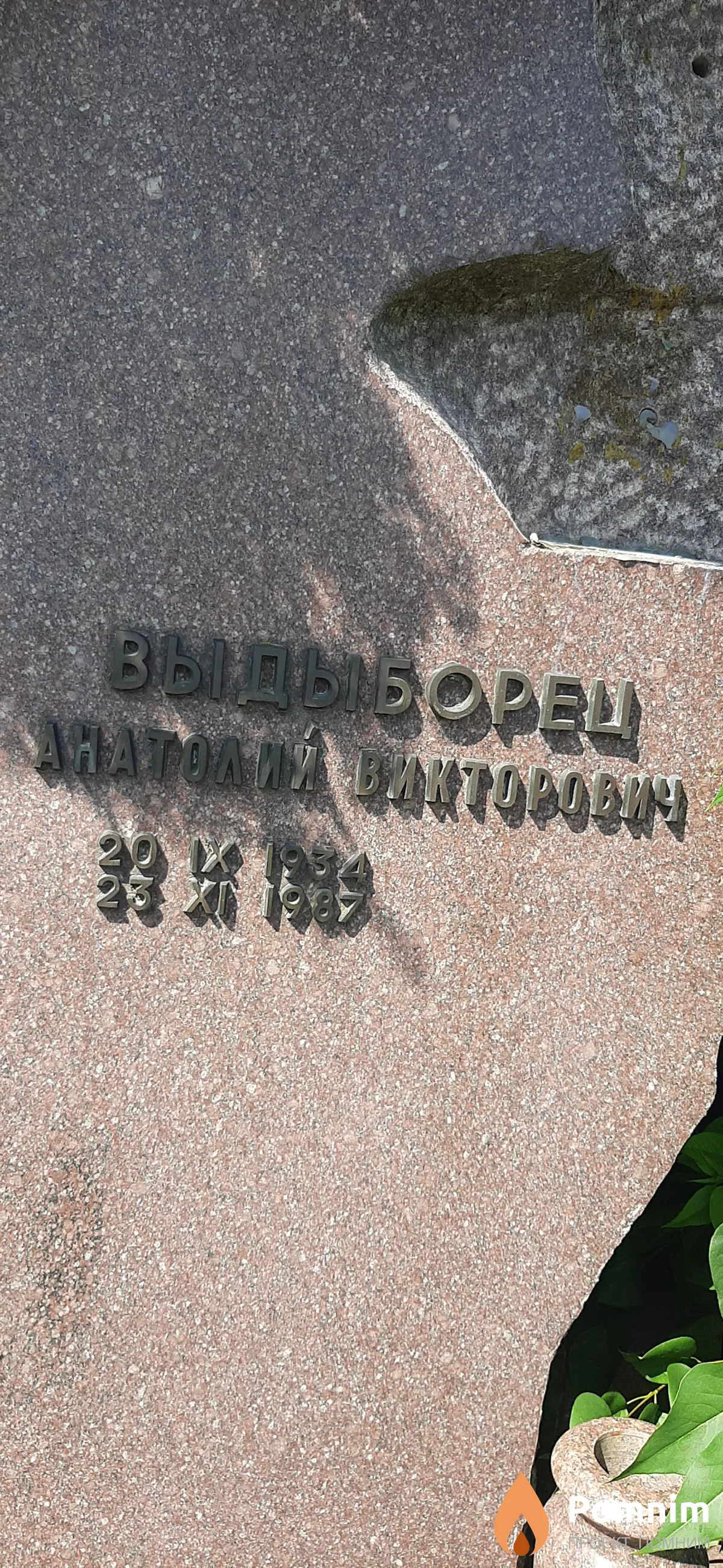 Выдыборец Анатолий Викторович