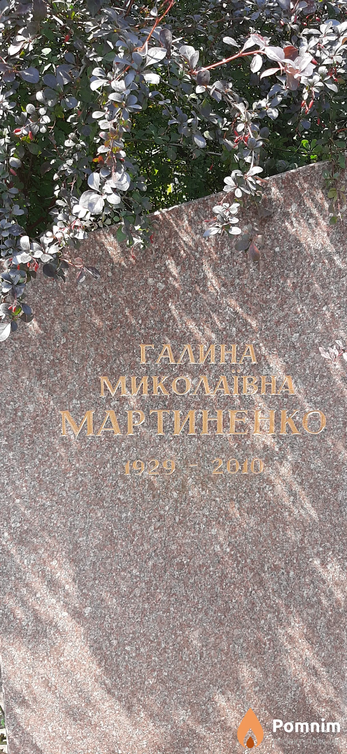Мартиненко Галина Миколаивна