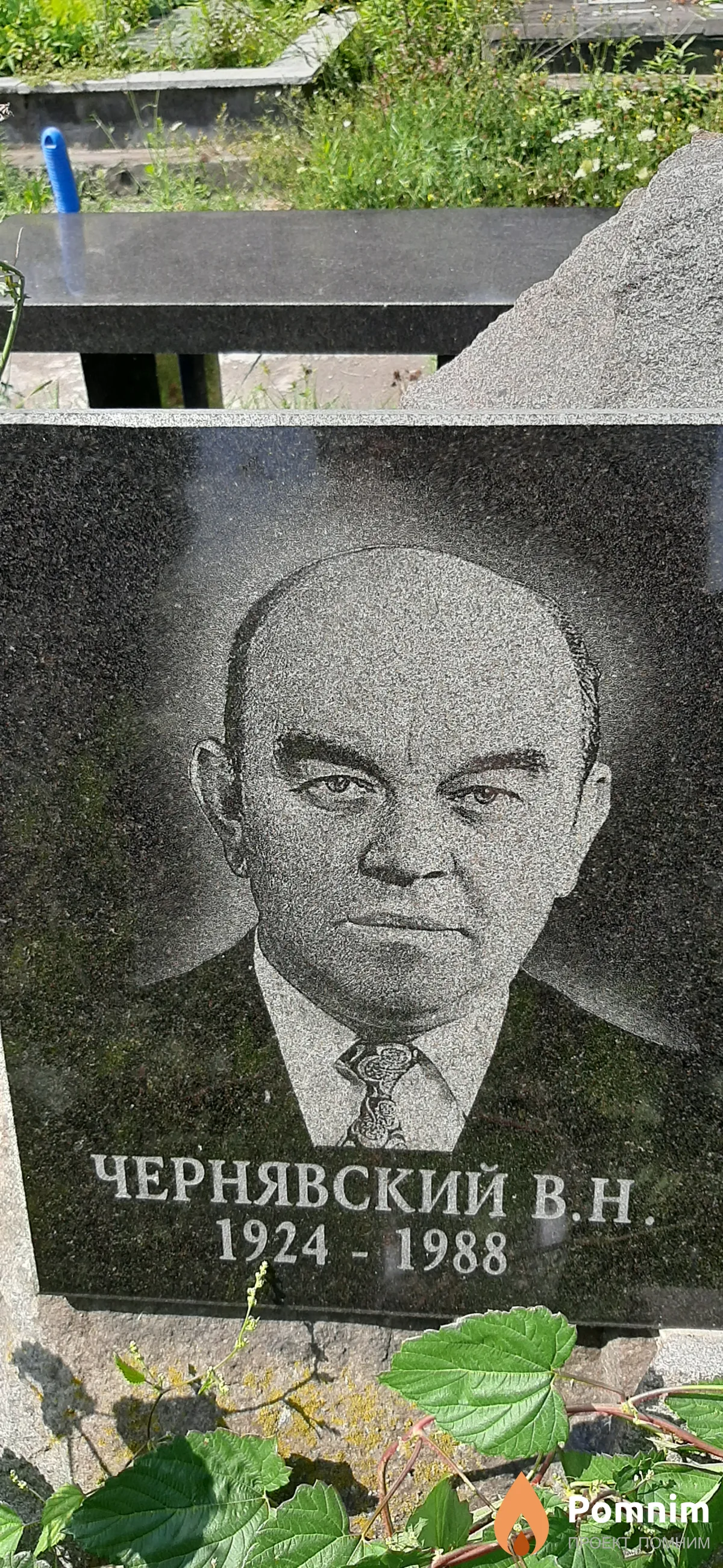 Чернявский В.Н.