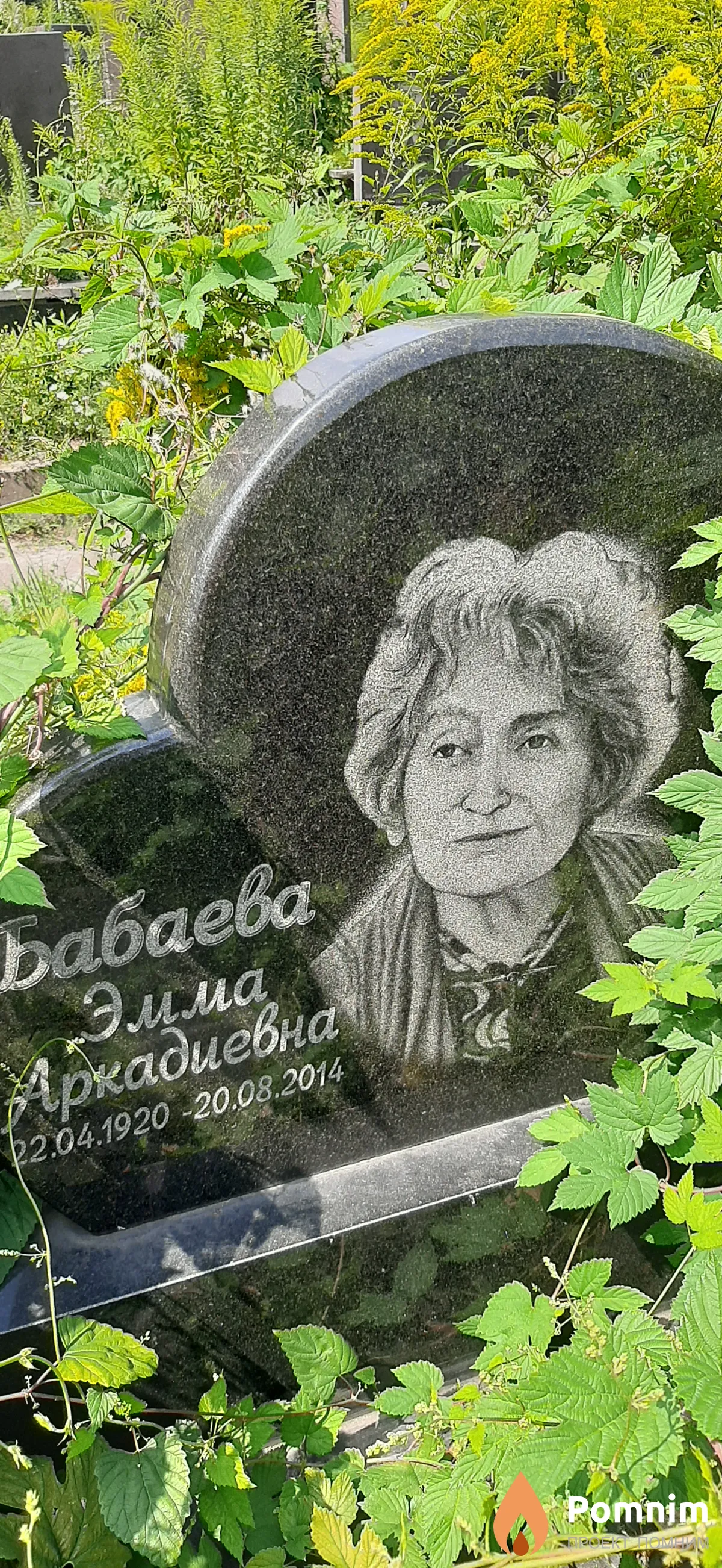 Бабаева Эмма Аркадиевна