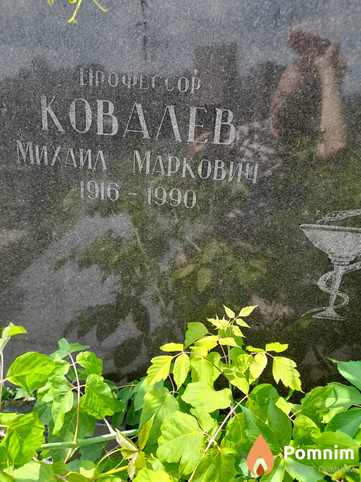 Ковалев Михаил Маркович