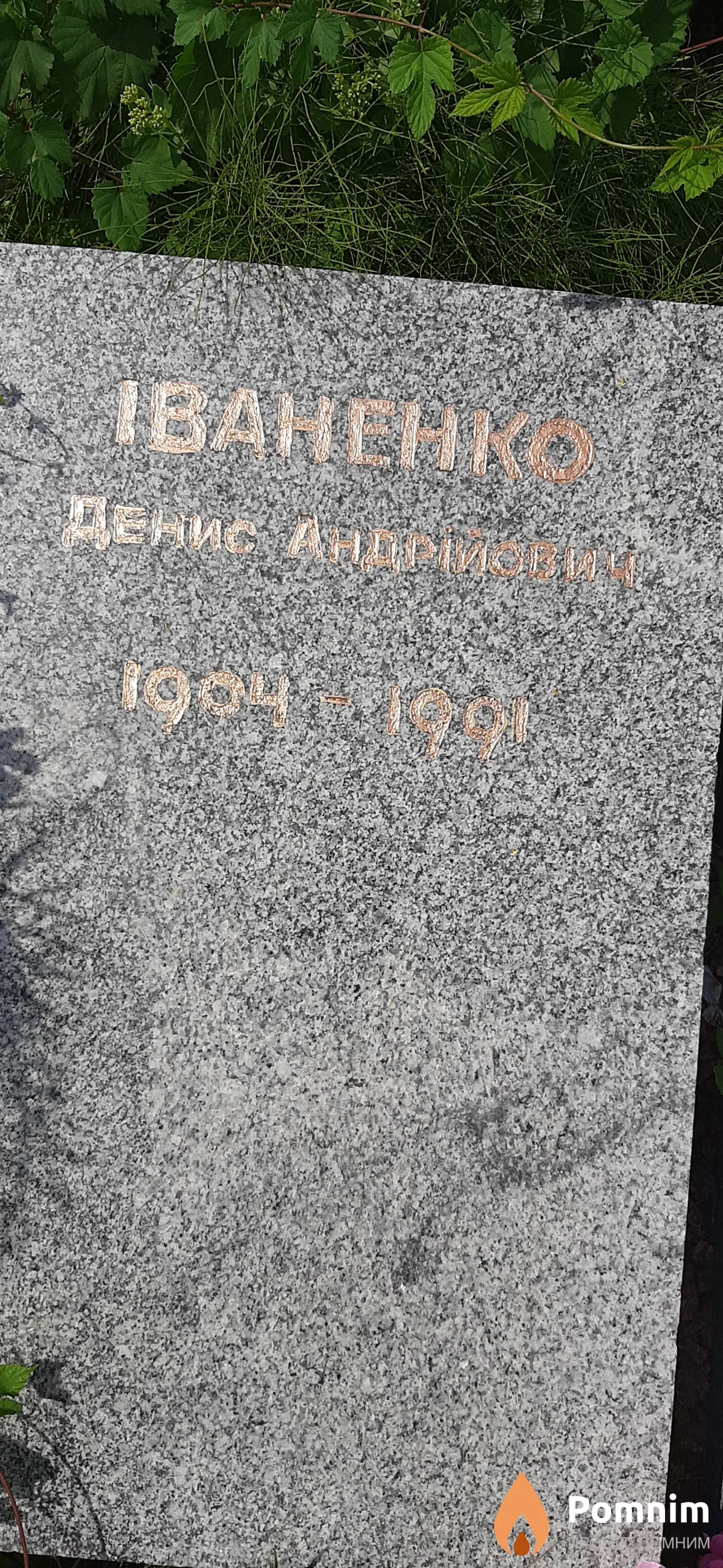 Иваненко Денис Андреевич
