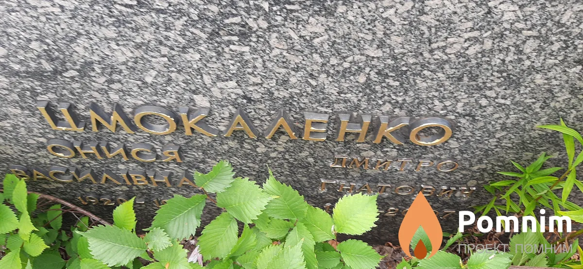 Цмокаленко Дмитрий Гнатович