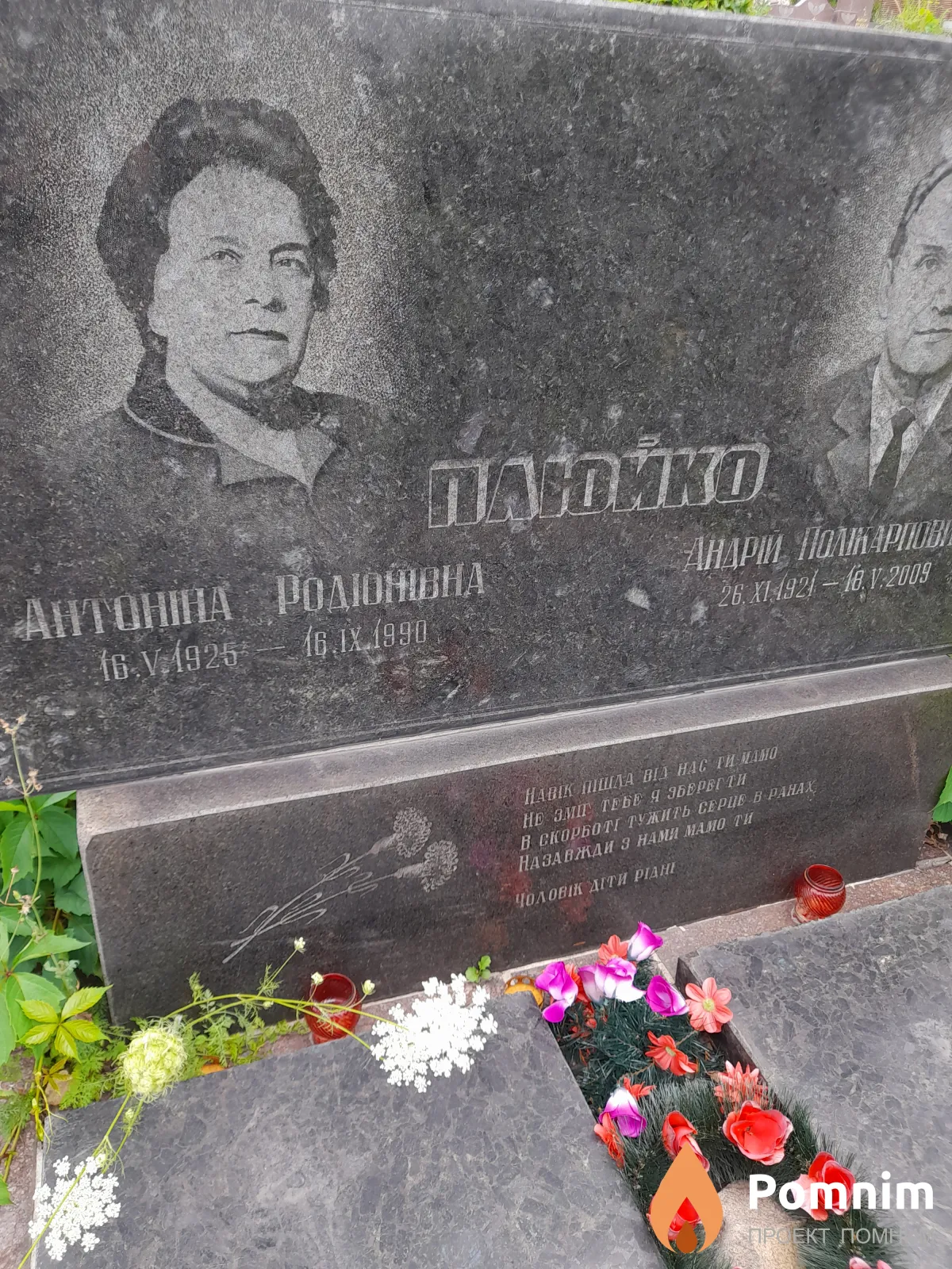 Плюйко Антонина Радионивни
