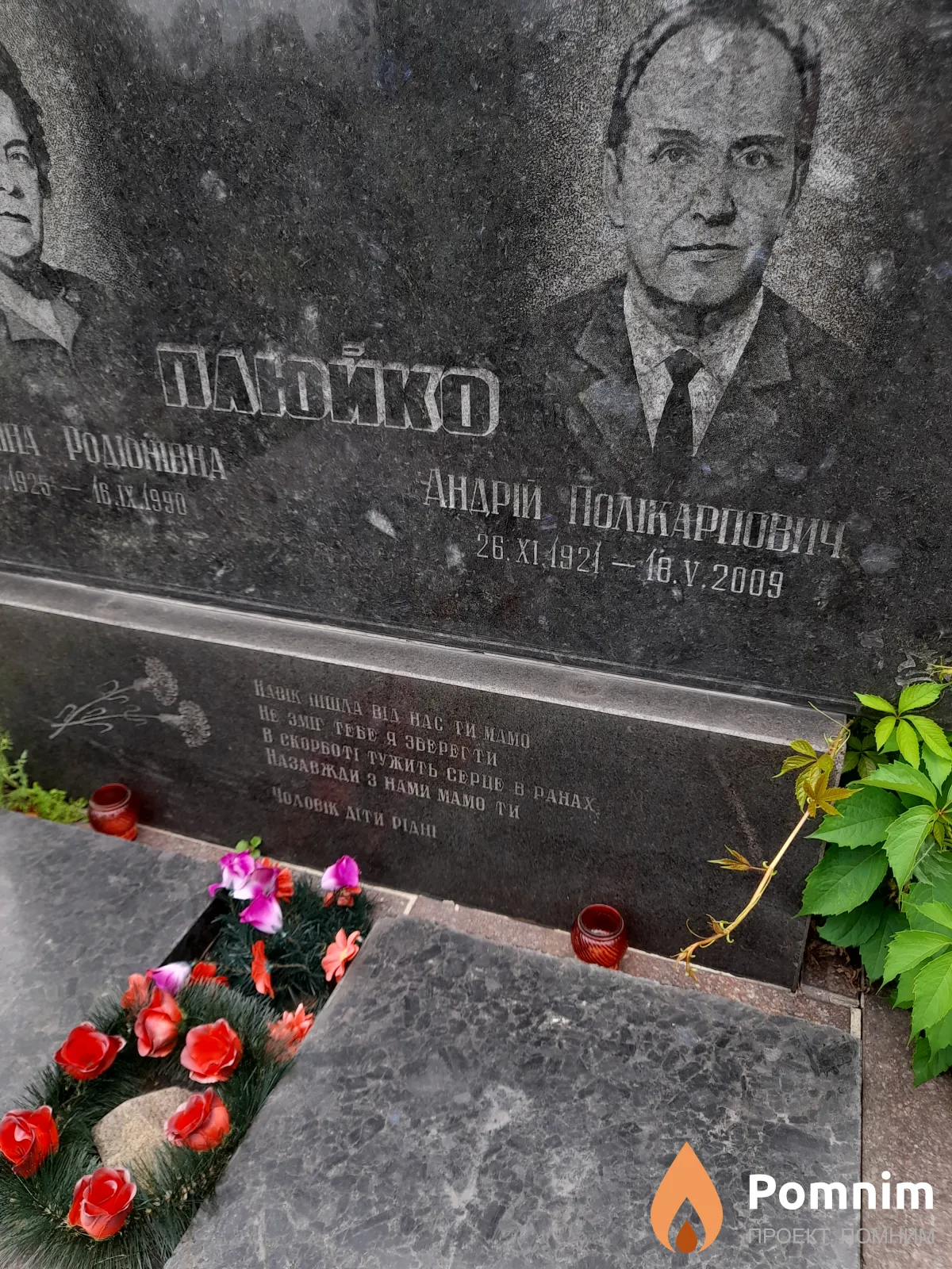 Плюйко Андрей Поликарпович