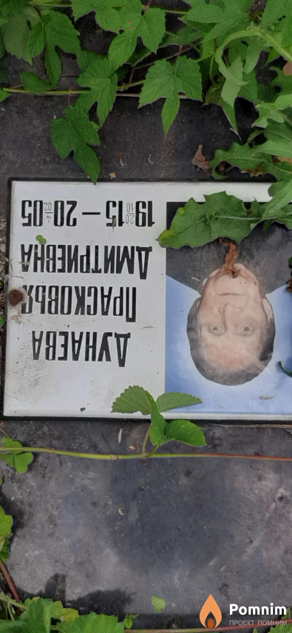 Дунаева Прасковья Дмитриевна