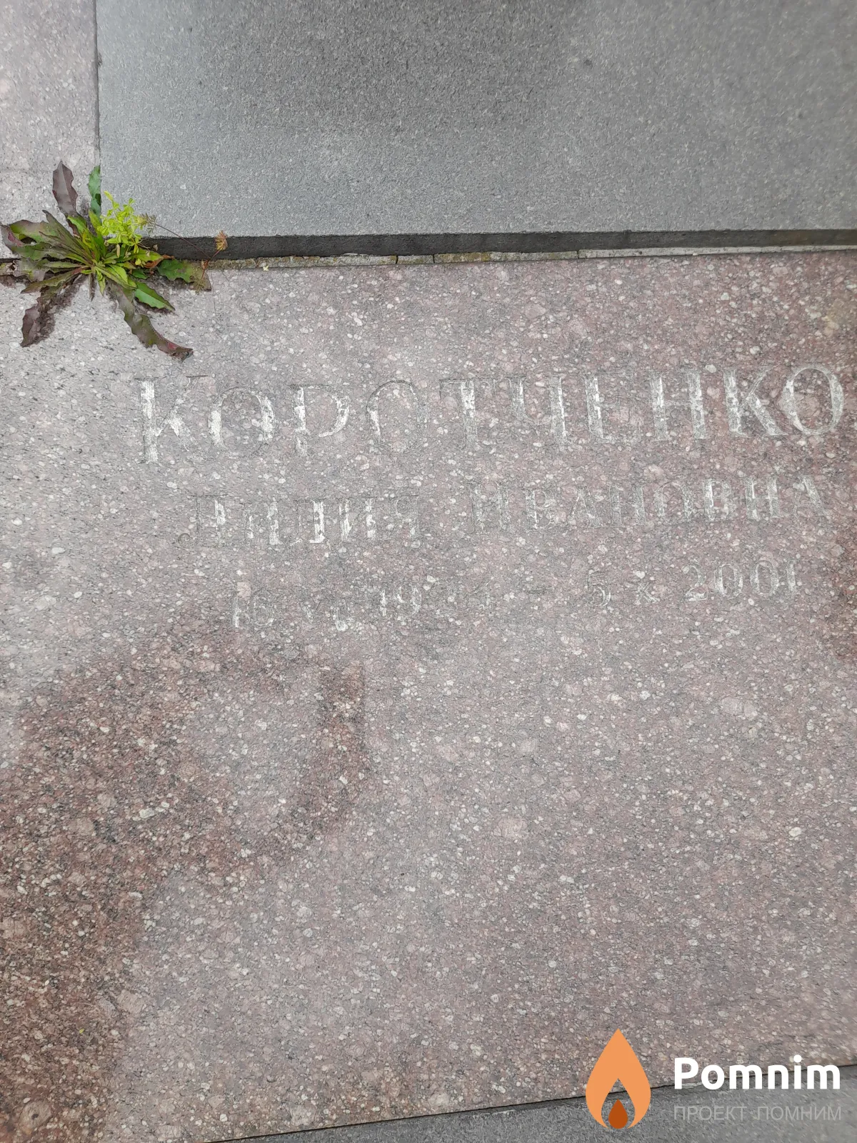 Коротченко Лидия Ивановна