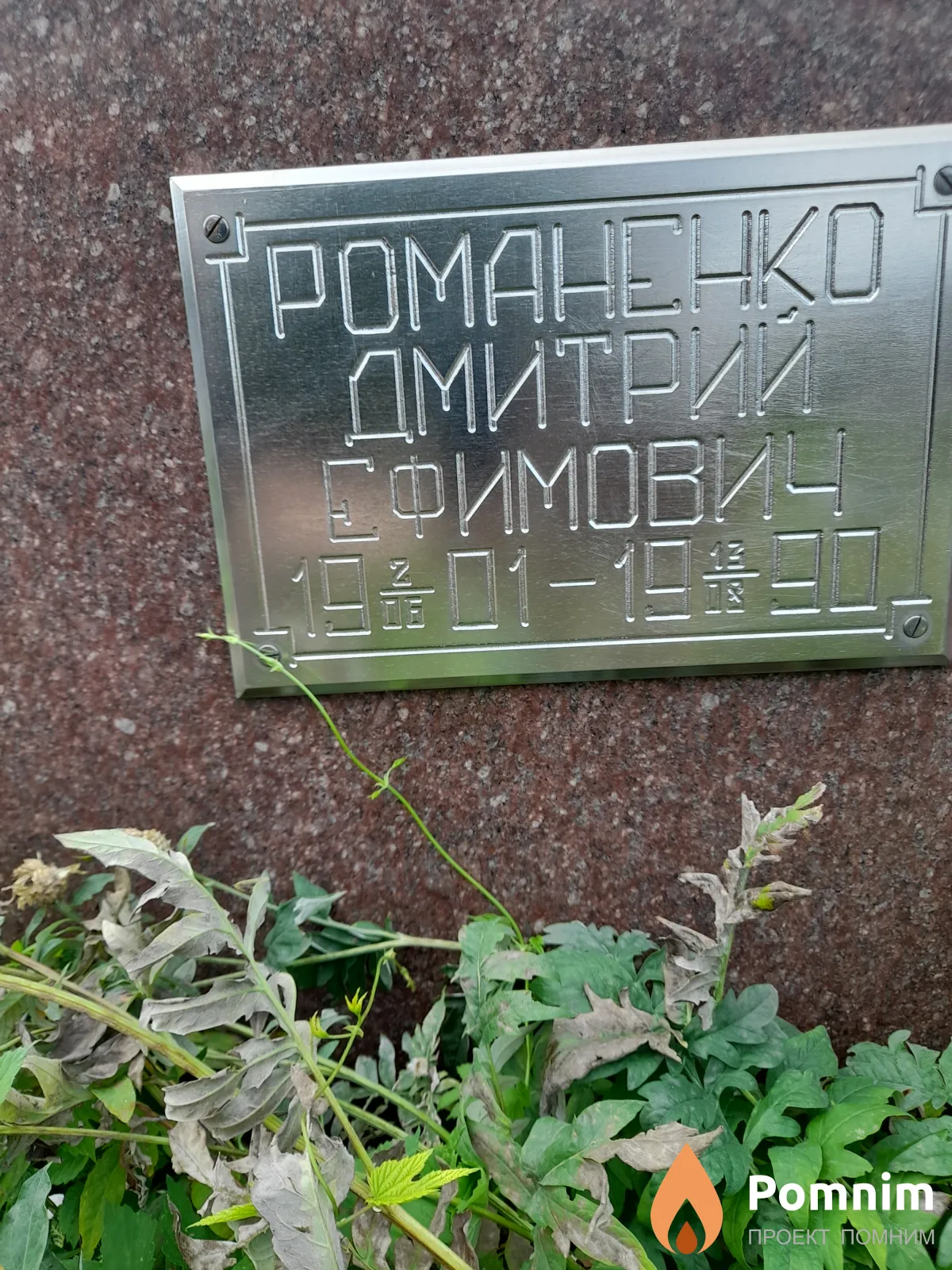 Романенко Дмитрий Ефимович