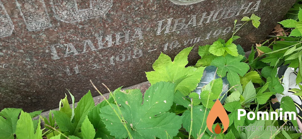 Шашло Галина Ивановна