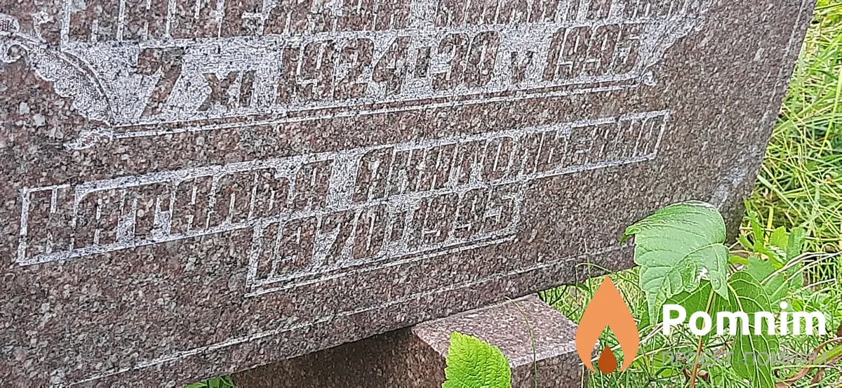 Панина Наталья Анатольевна