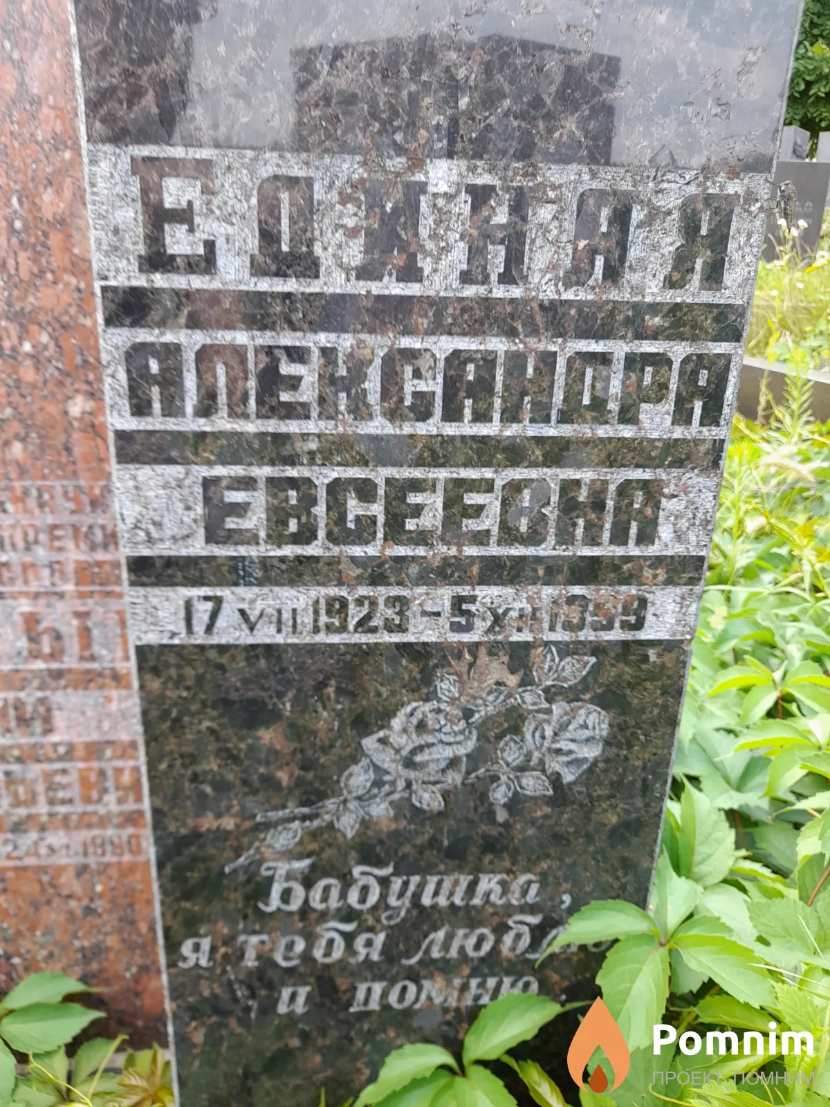 Единая Александра Евсеевна
