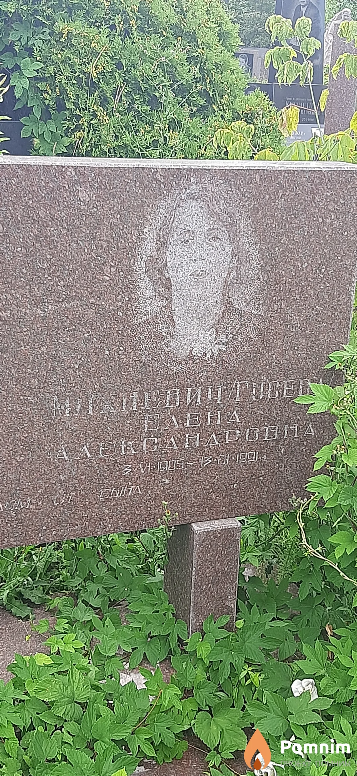 Михневич/Гусева Елена Александровна