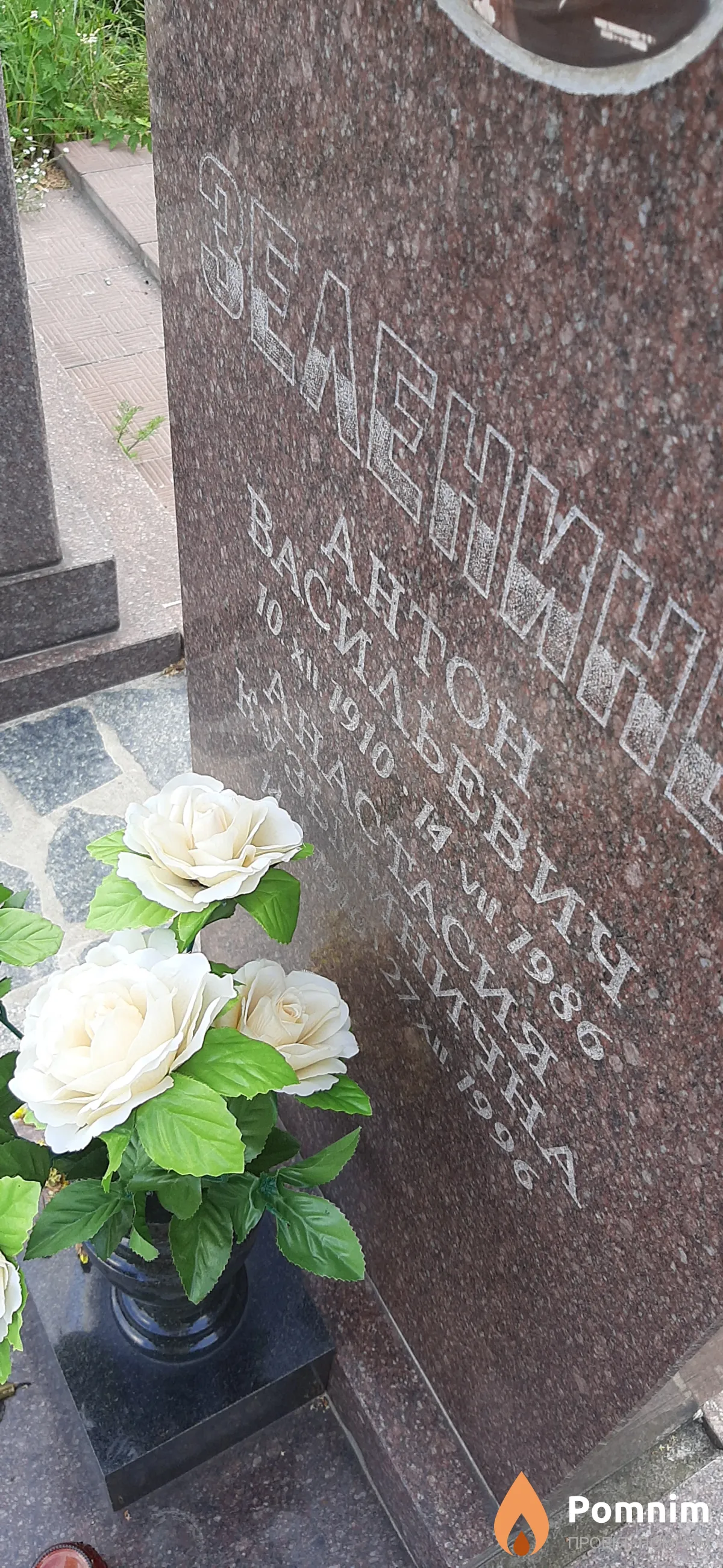 Зеленина Анастасия Кузьминична