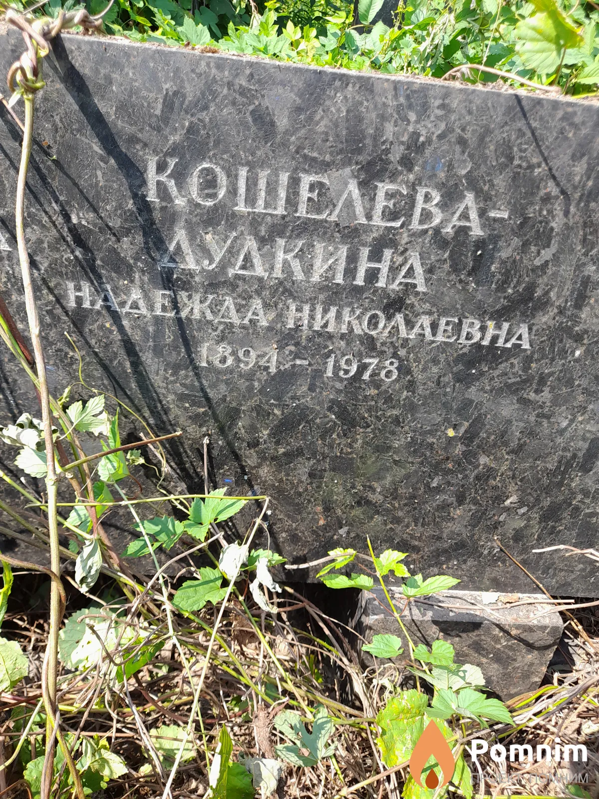 Кошелева-Дудкина Надежда Николаевна