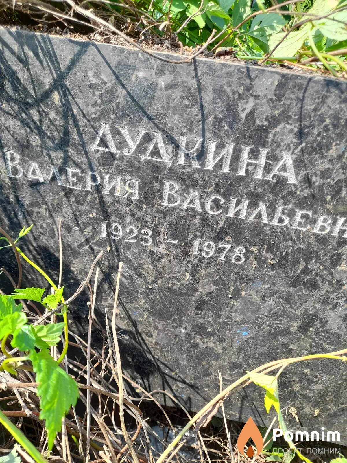 Дудкина Валерия Васильевна