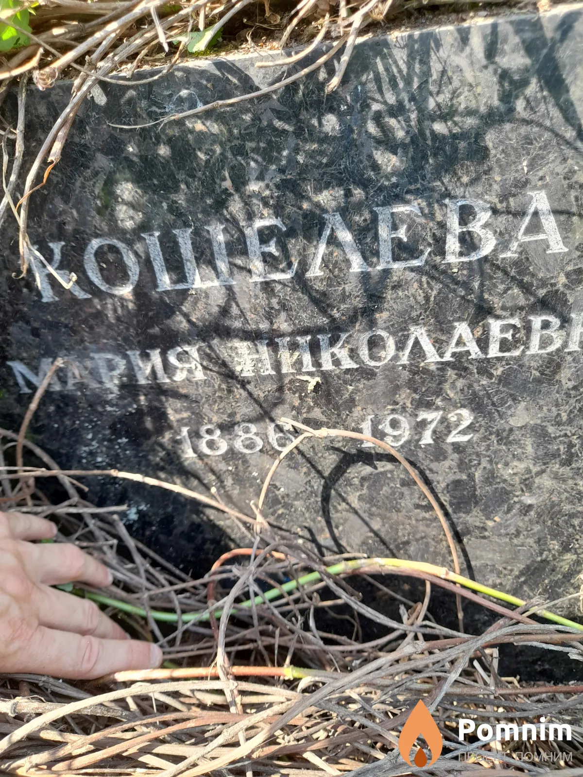 Кошелева Мария Николаевна
