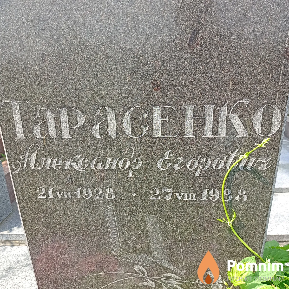 Taрасенко Александр Егорович