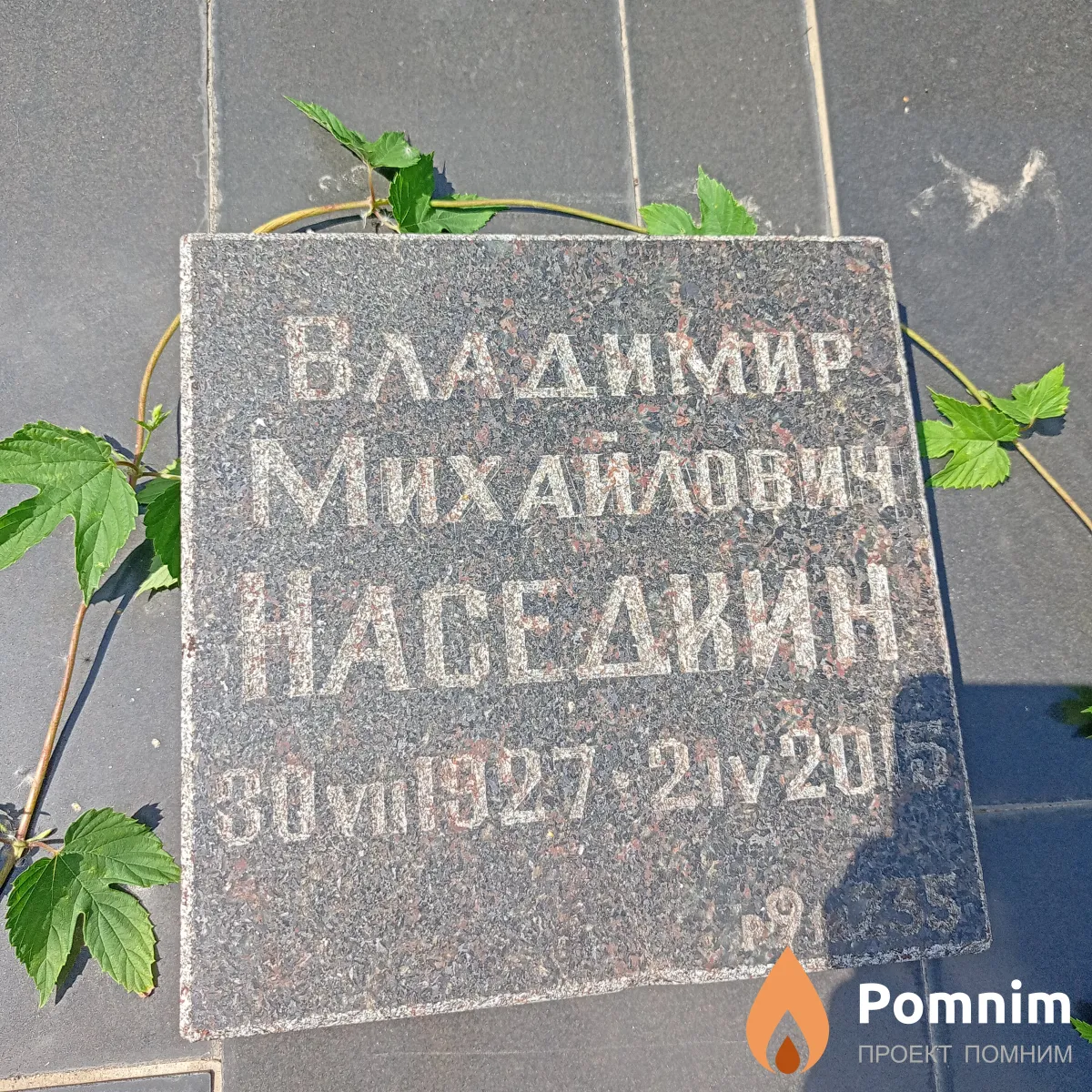 Наседкин Владимир Михайлович