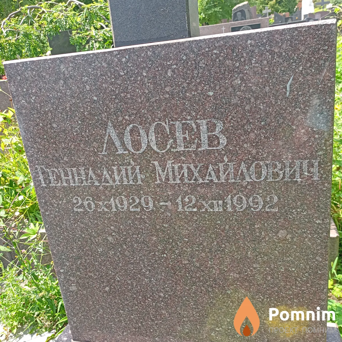 Лосев Геннадий Михайлович