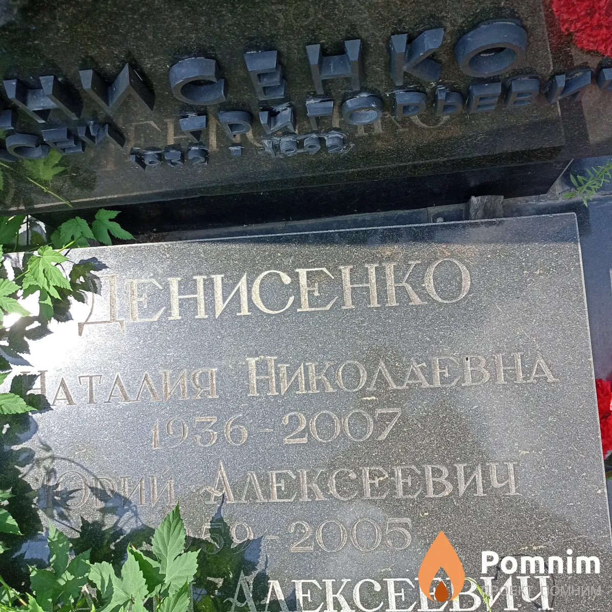 Денисенко Наталия Николаевна
